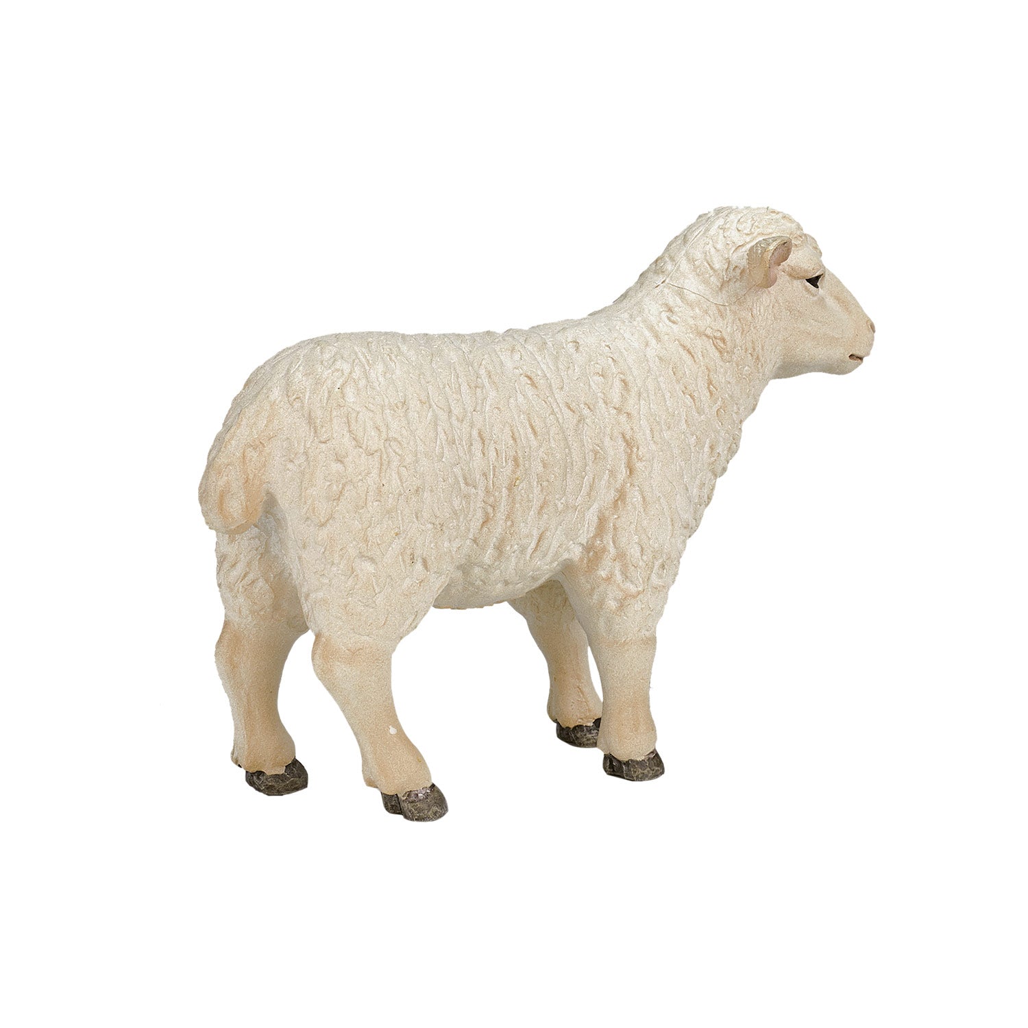 Mojo Landbouwgrond Schaap Ooi - 387096