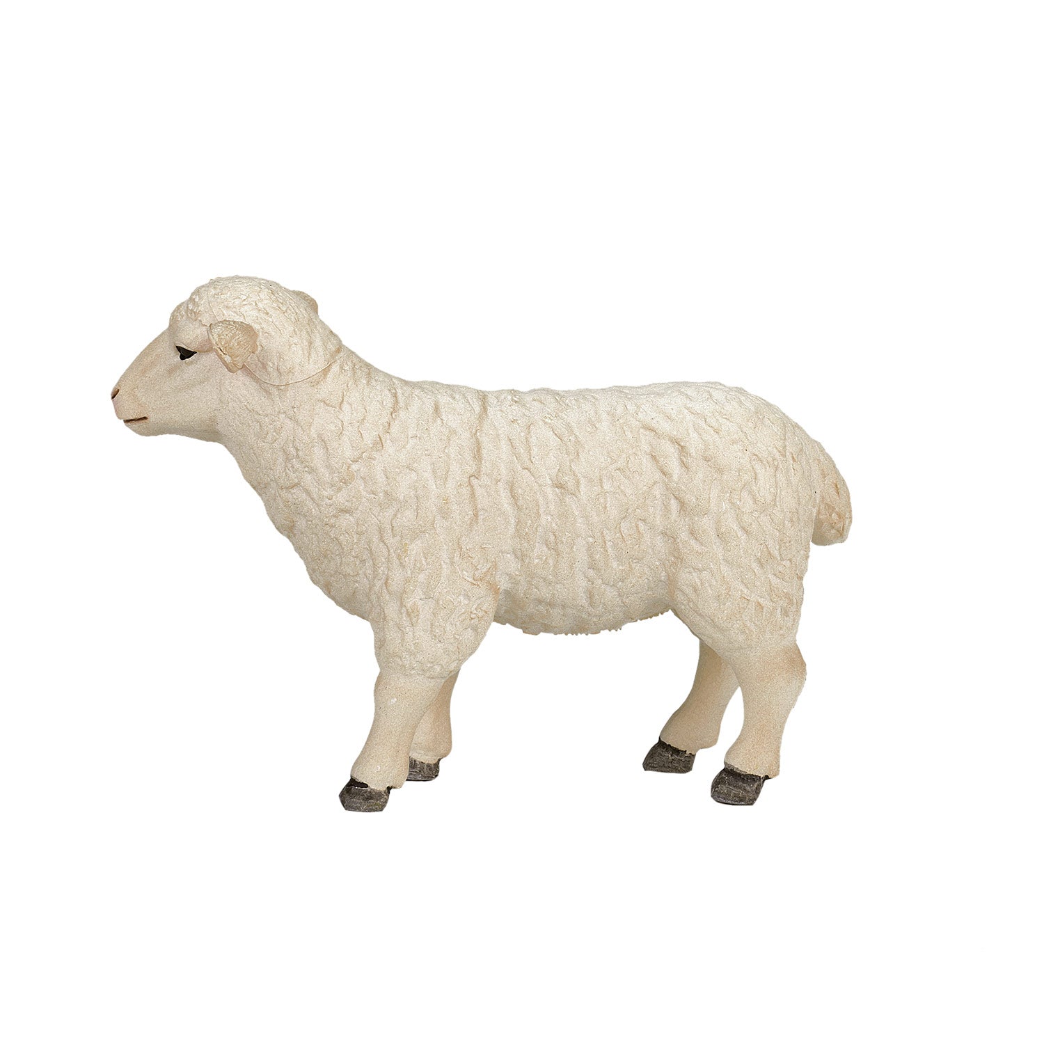 Mojo Landbouwgrond Schaap Ooi - 387096