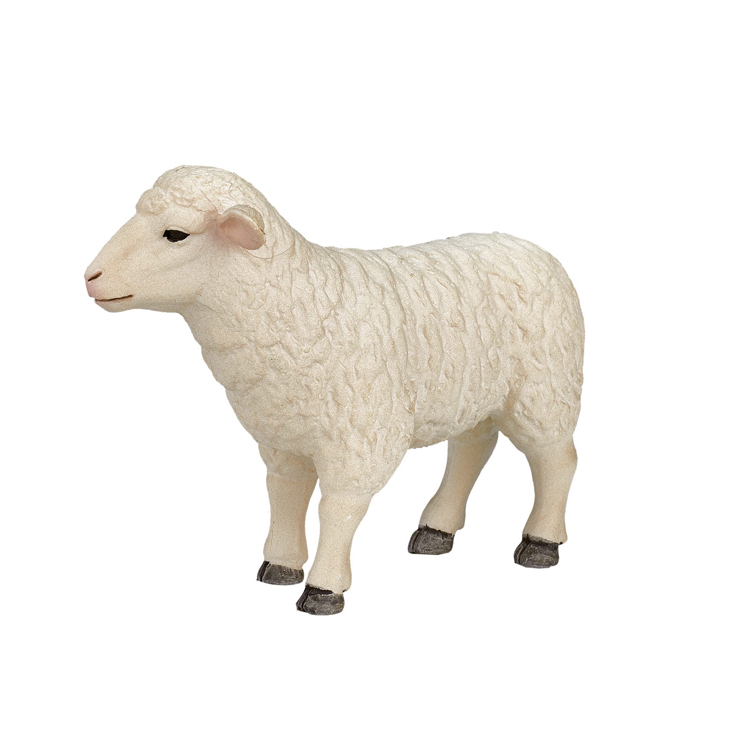 Mojo Landbouwgrond Schaap Ooi - 387096