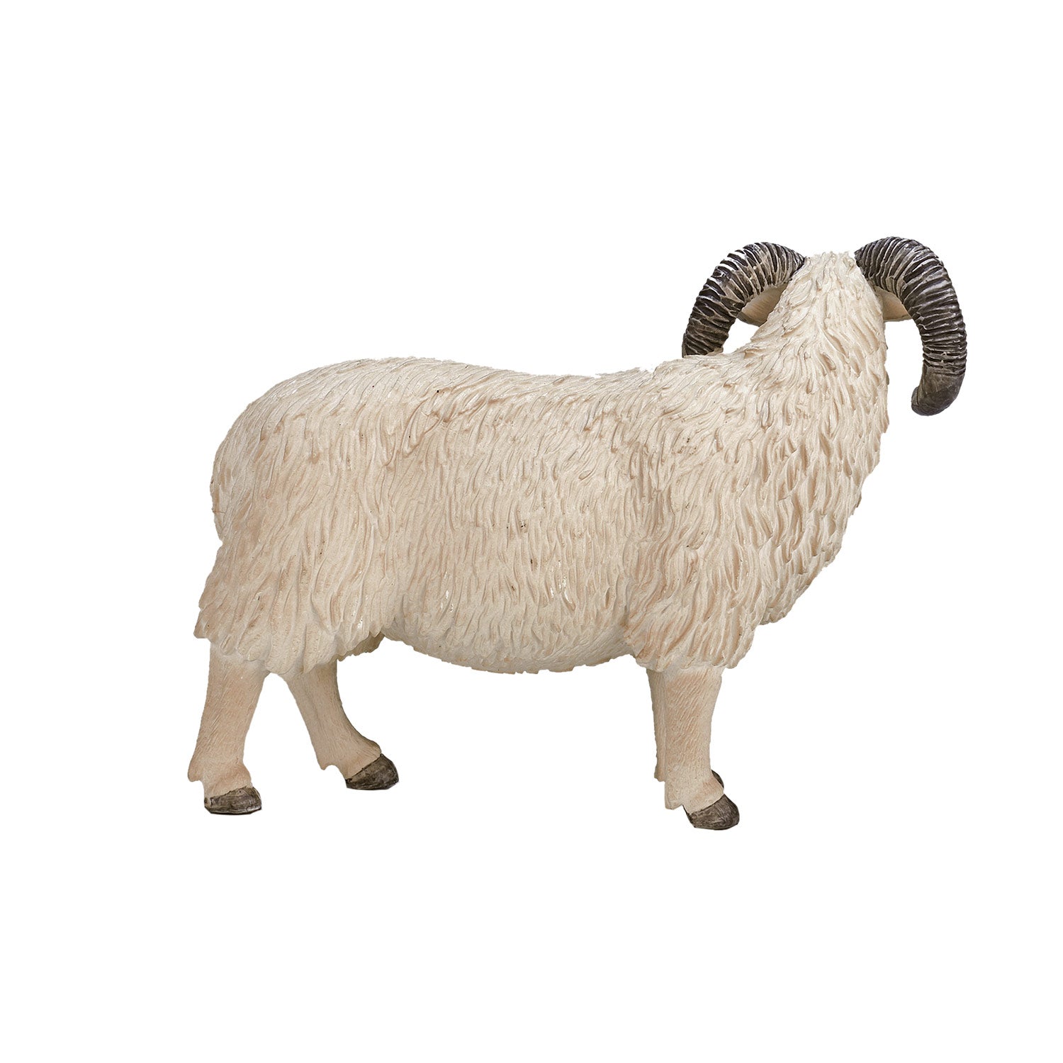 Mojo Landbouwgrond Schaap Ram 387097