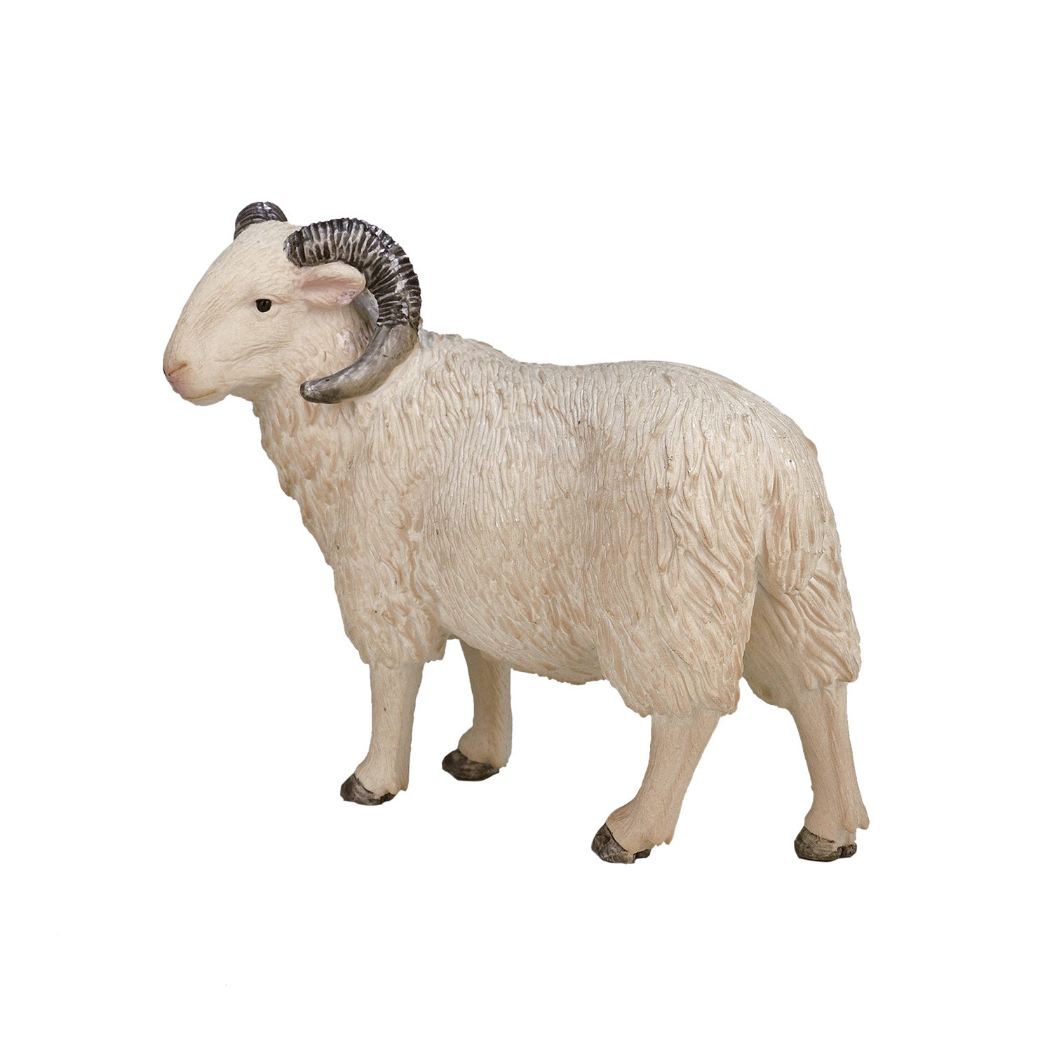 Mojo Landbouwgrond Schaap Ram 387097