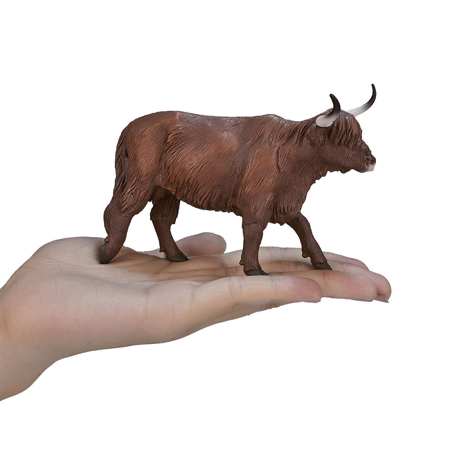 Mojo Landbouwgrond Hoogland Koe 387199