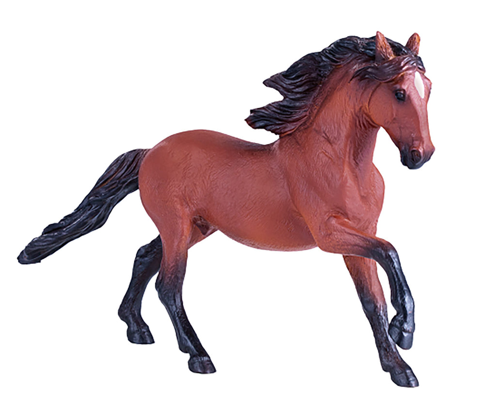 Mojo HorseWorld Lusitano Bruin 381002