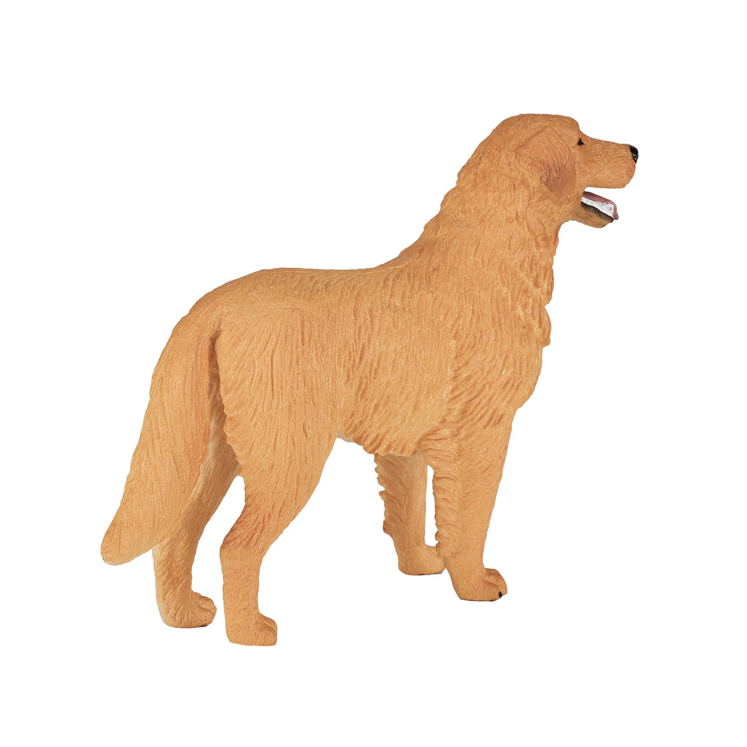 Mojo farmland golden retriever - 387198