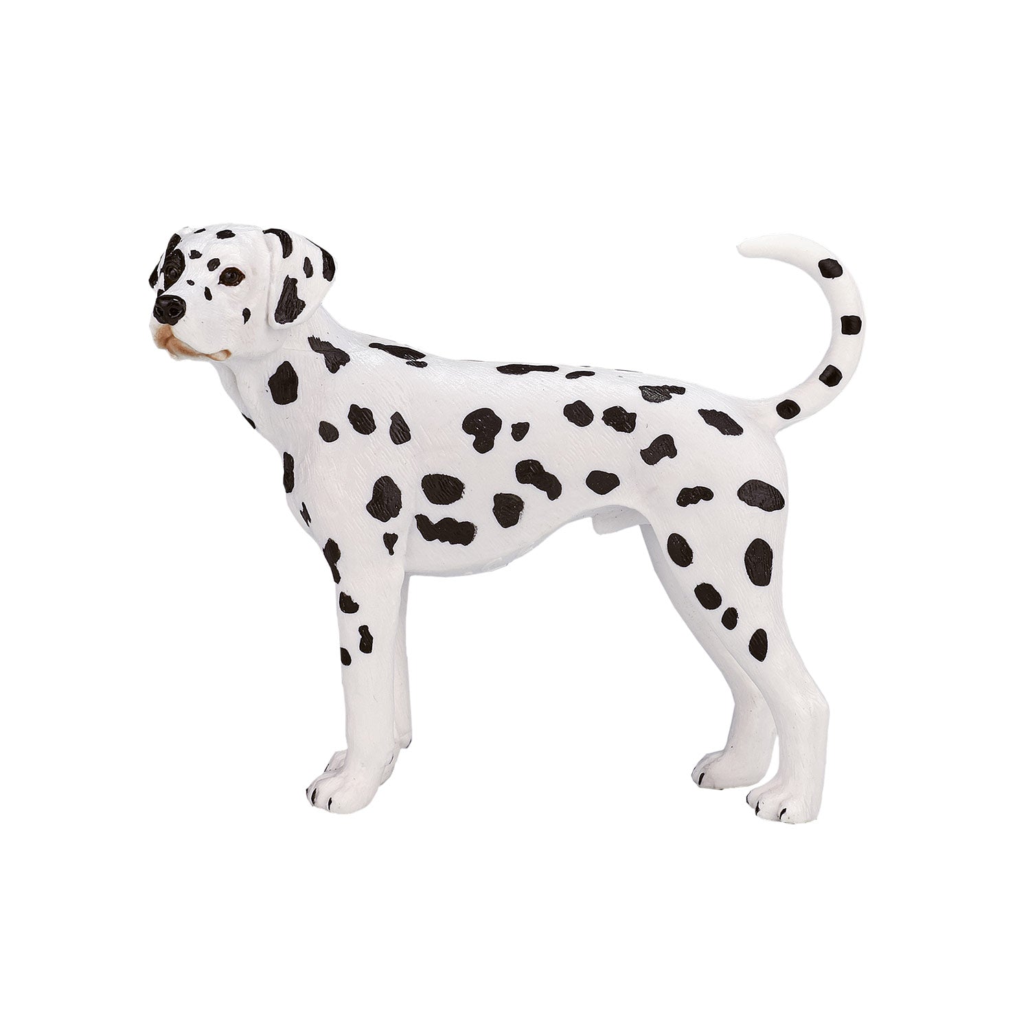 Mojo farmland dalmatiër - 387248
