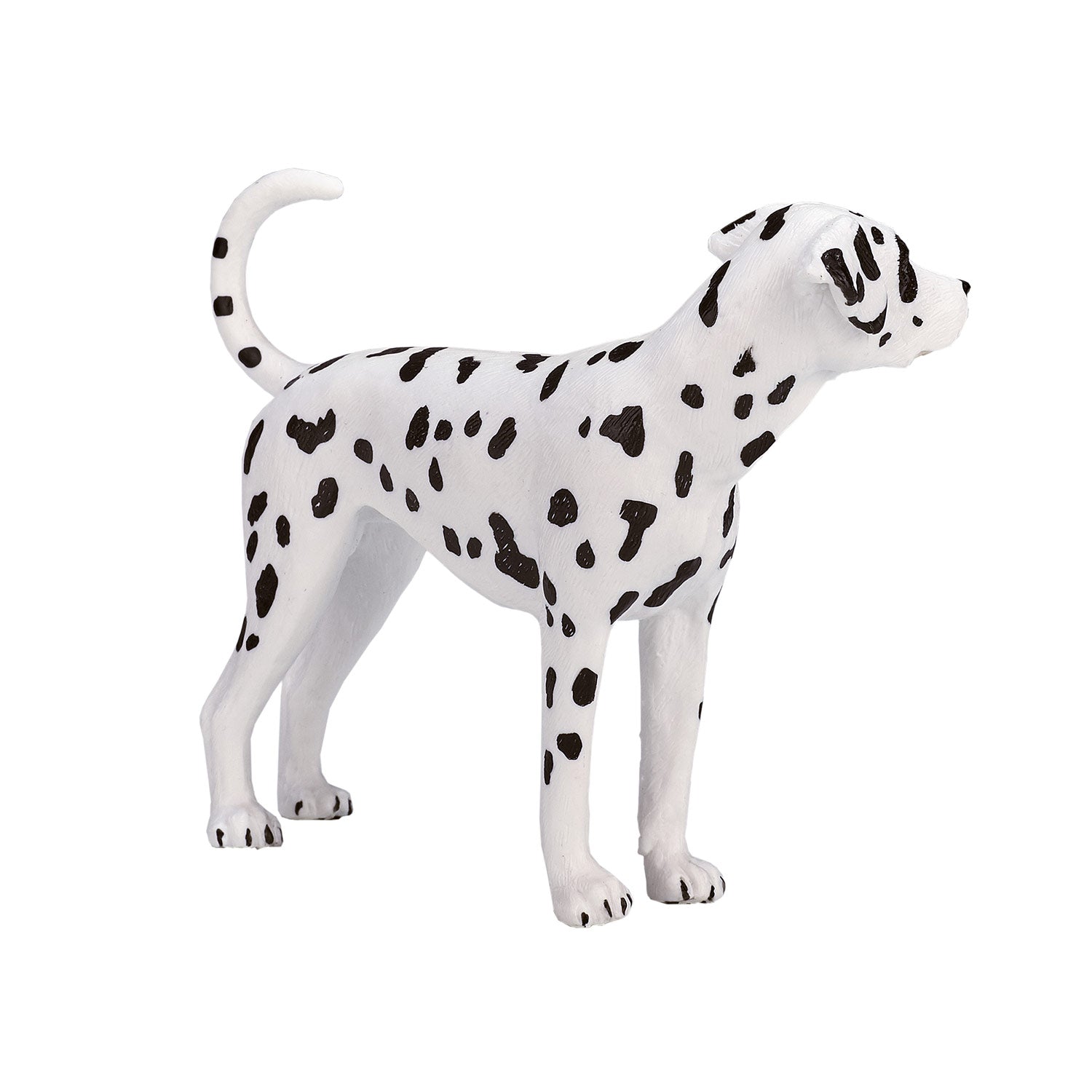 Mojo farmland dalmatiër - 387248