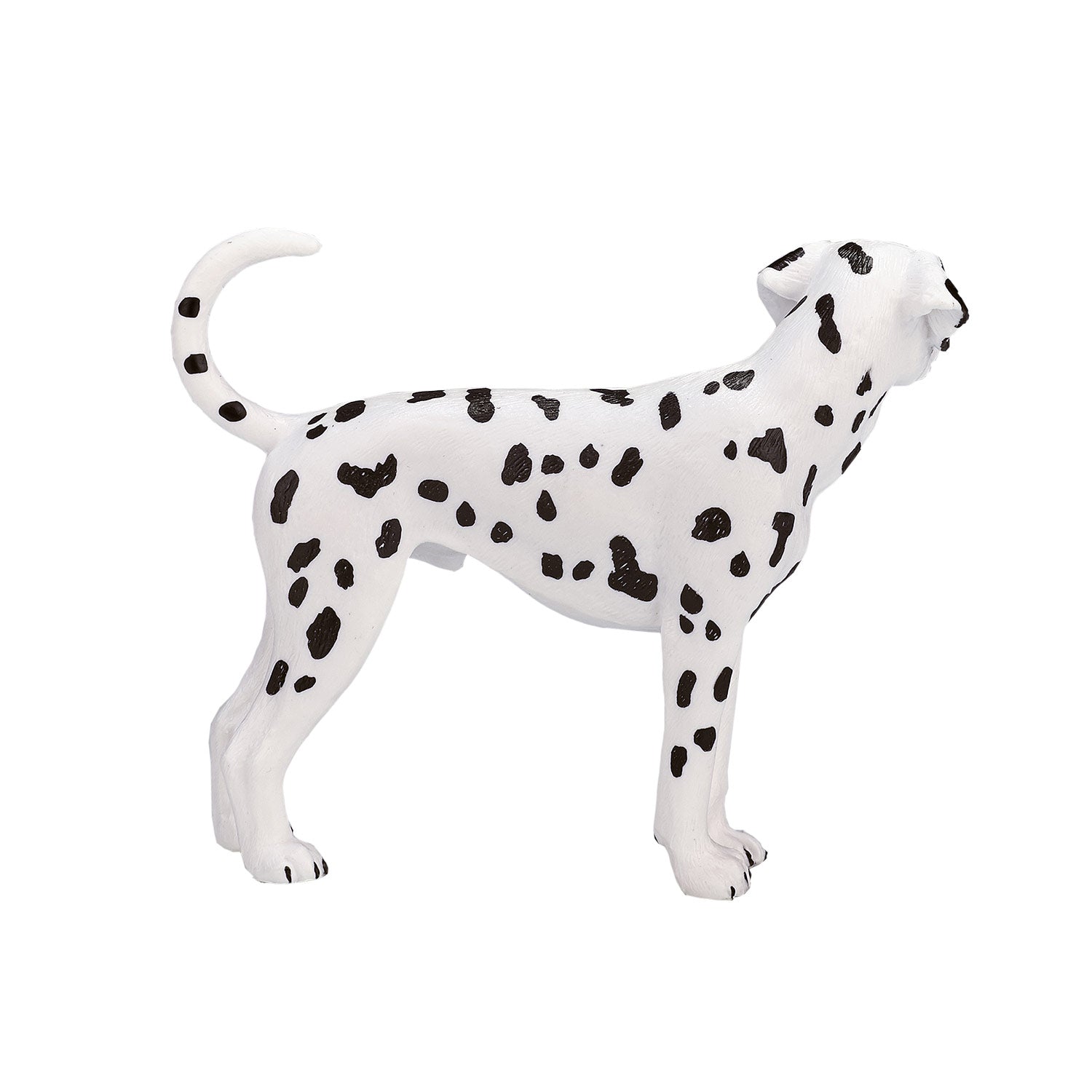 Mojo farmland dalmatiër - 387248