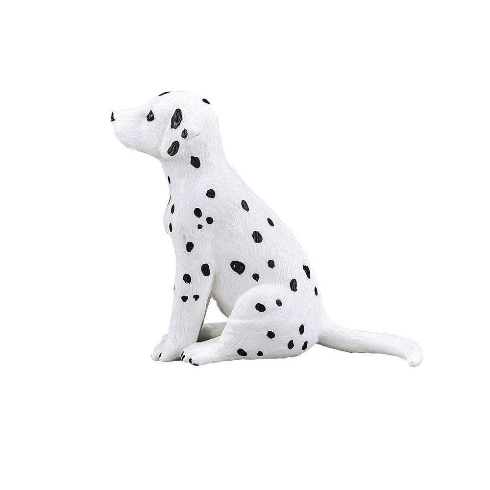 Mojo farmland dalmatische puppy - 387249