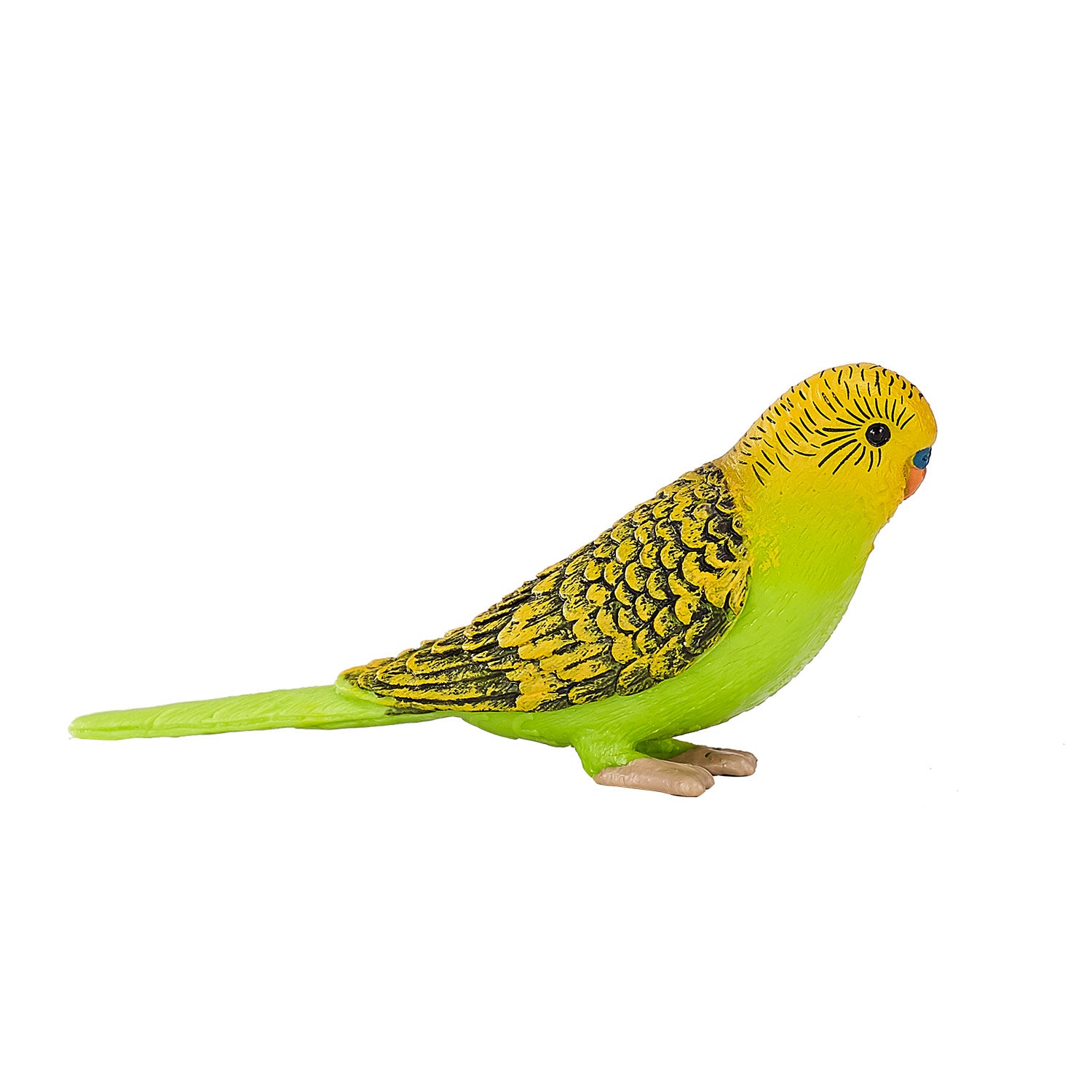 Mojo Landbouwgrond Grasparkiet Groen 387262
