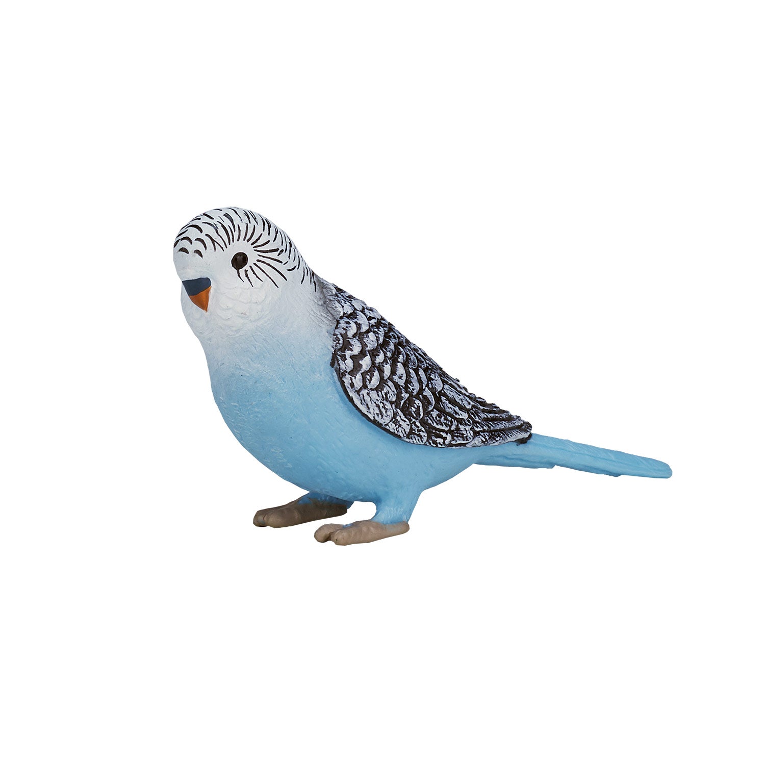 Mojo Landbouwgrond Grasparkiet Blauw 387292