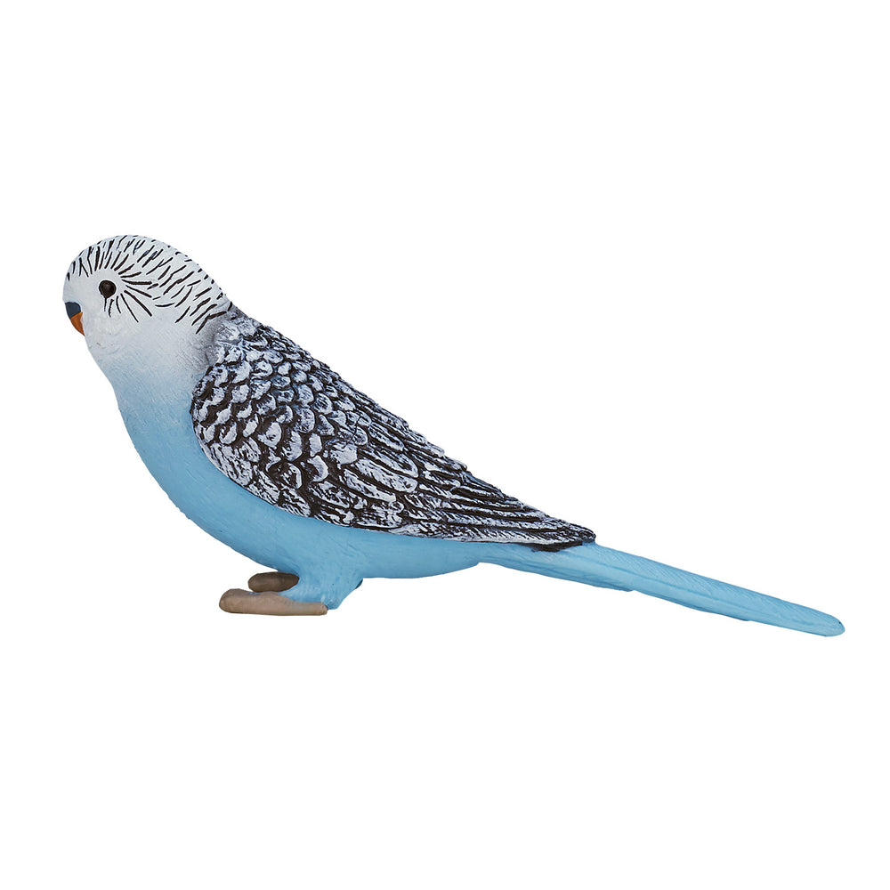 Mojo Landbouwgrond Grasparkiet Blauw 387292