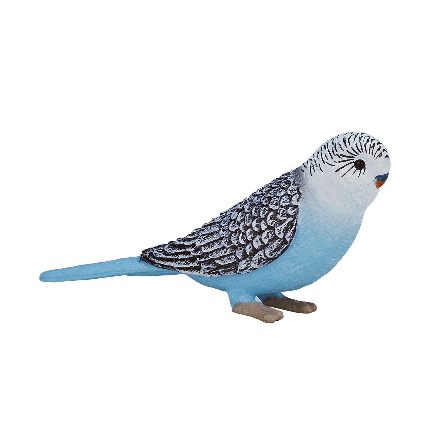 Mojo Landbouwgrond Grasparkiet Blauw 387292
