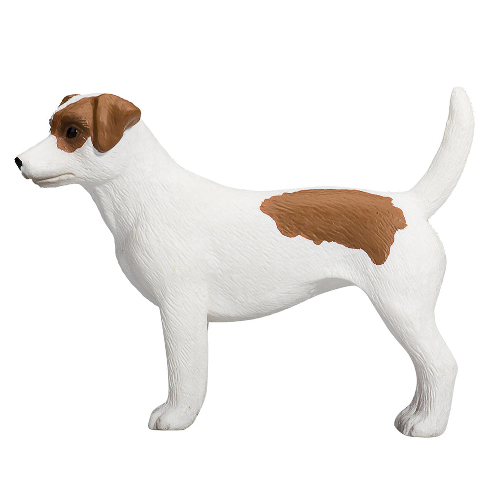 Mojo Landbouwgrond Jack Russell Terriër - 387286