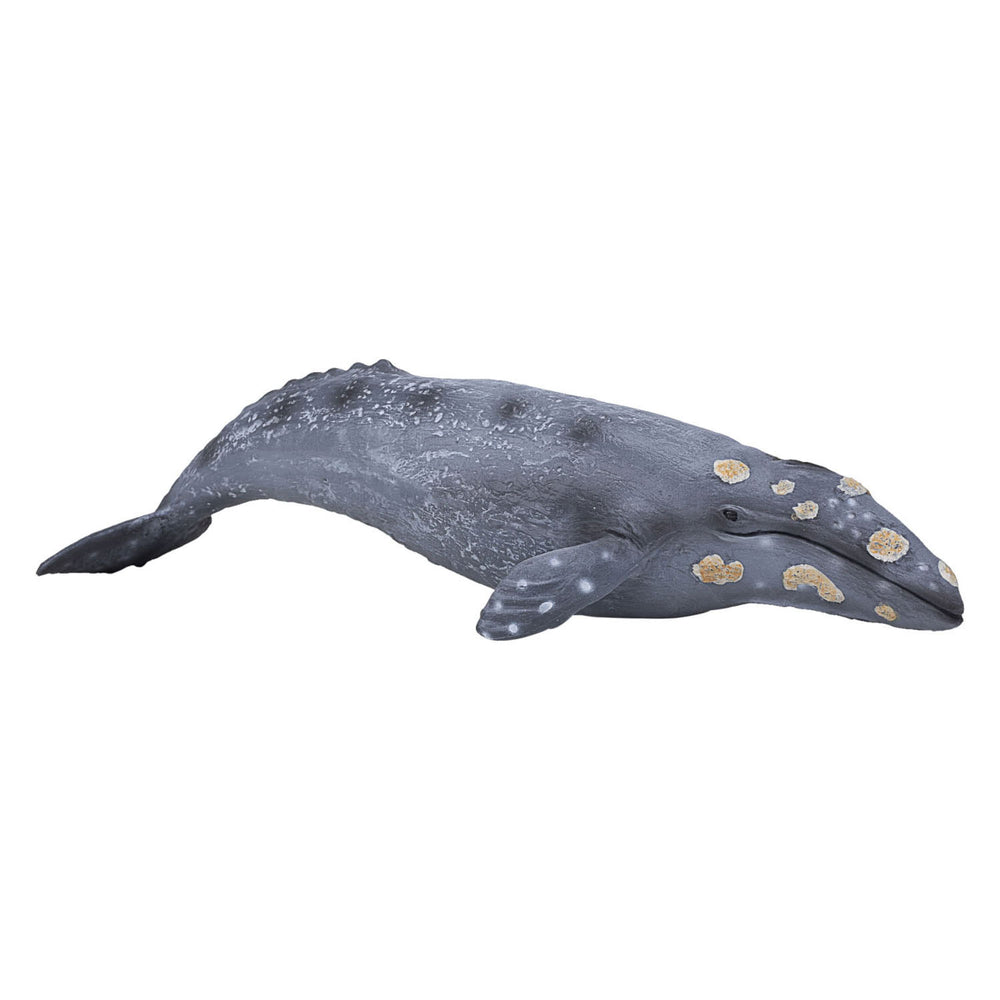 Mojo sealife - grijze walvis 387280