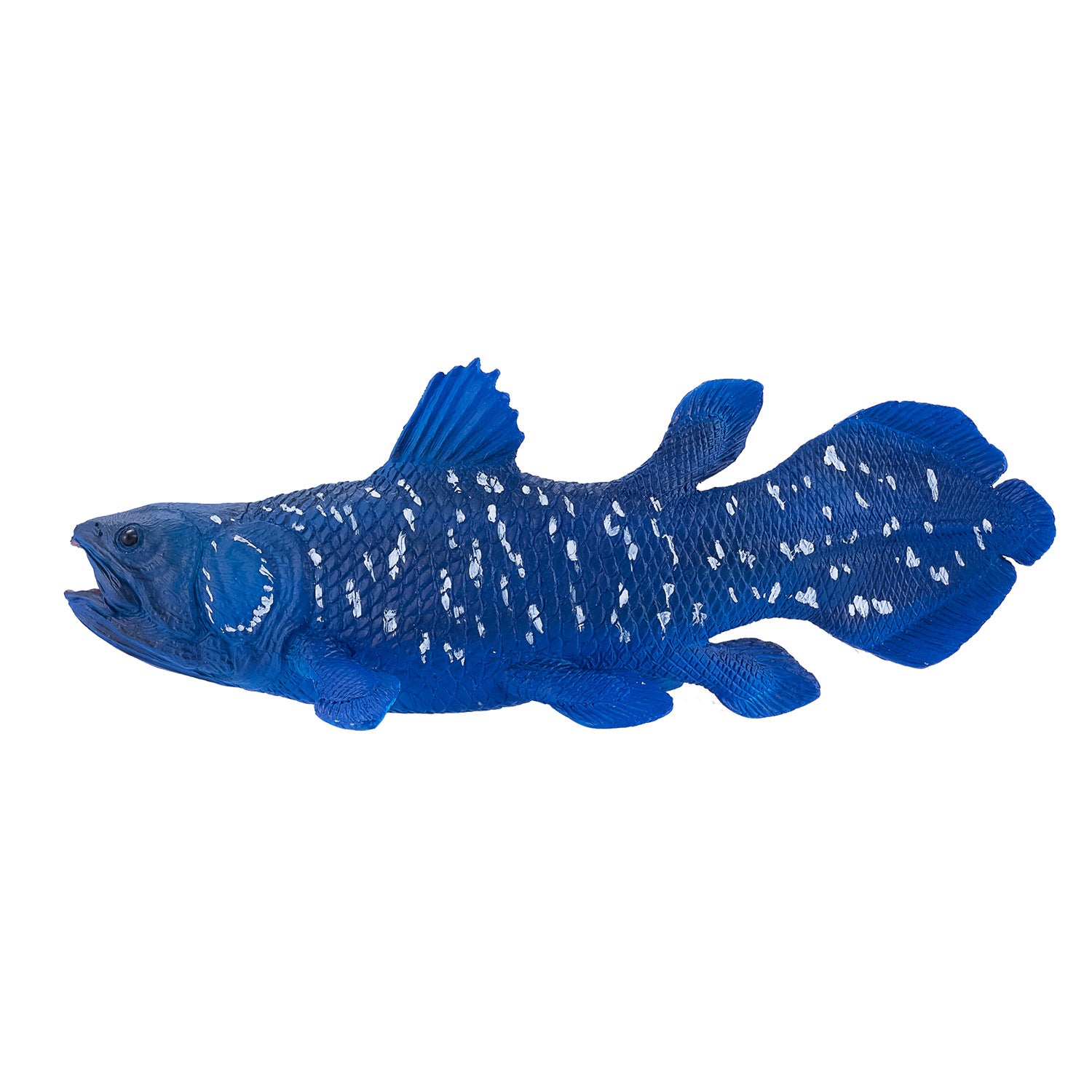 Mojo Sealife Coelacant 381050