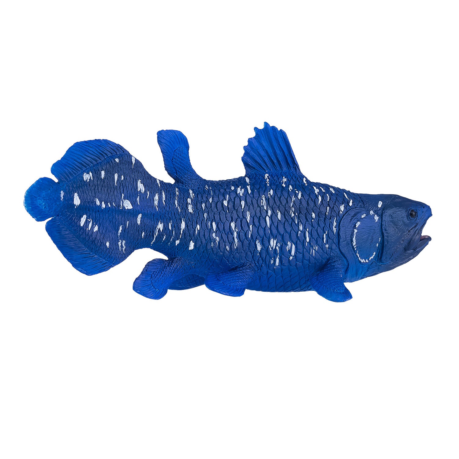 Mojo Sealife Coelacant 381050