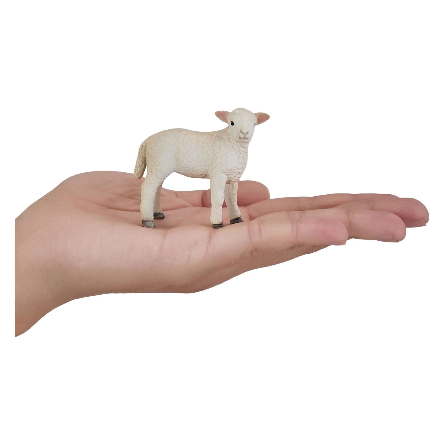 Mojo farmland romney lam staan ​​- 381065