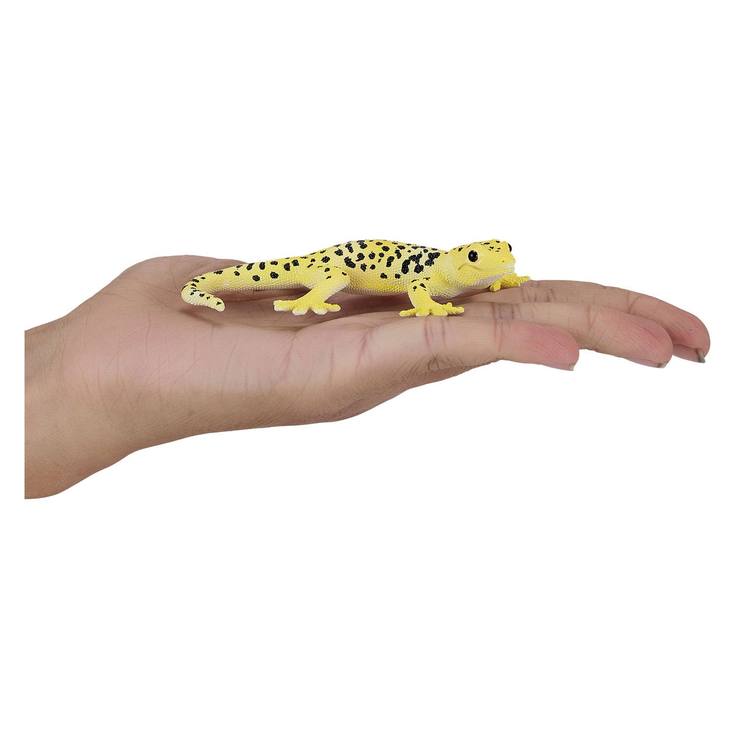 Mojo wildlife luipaardgekko - 381077
