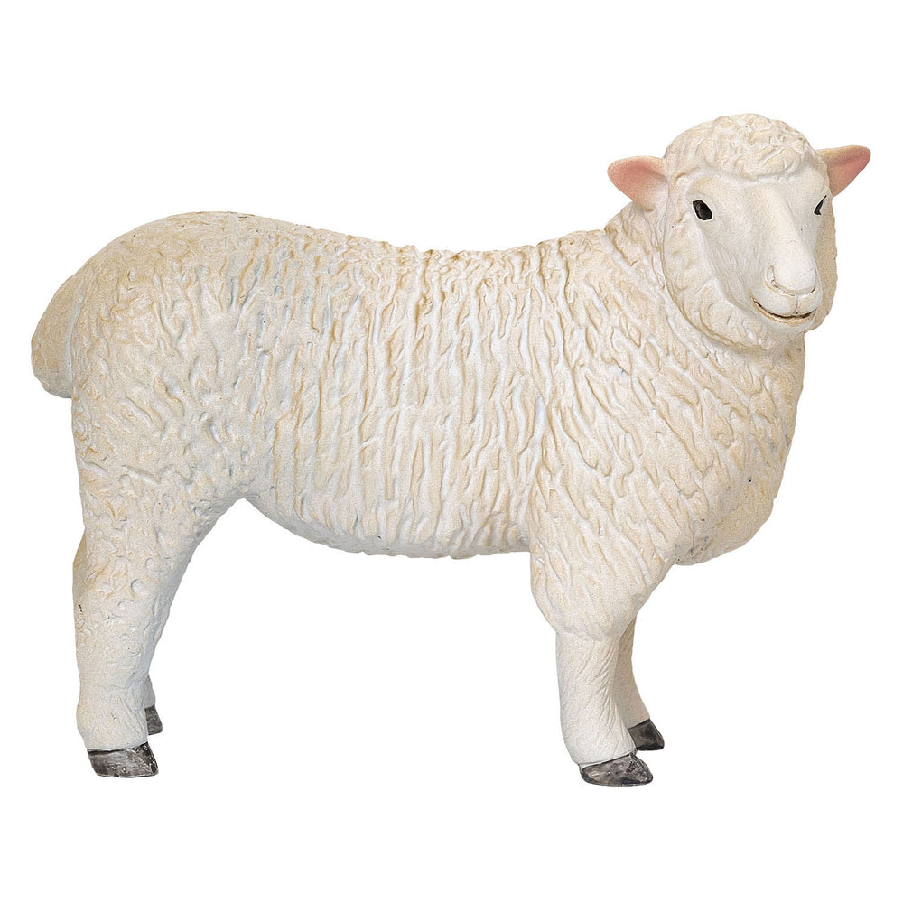 Mojo landbouwgrond romney schaap ooi - 381064