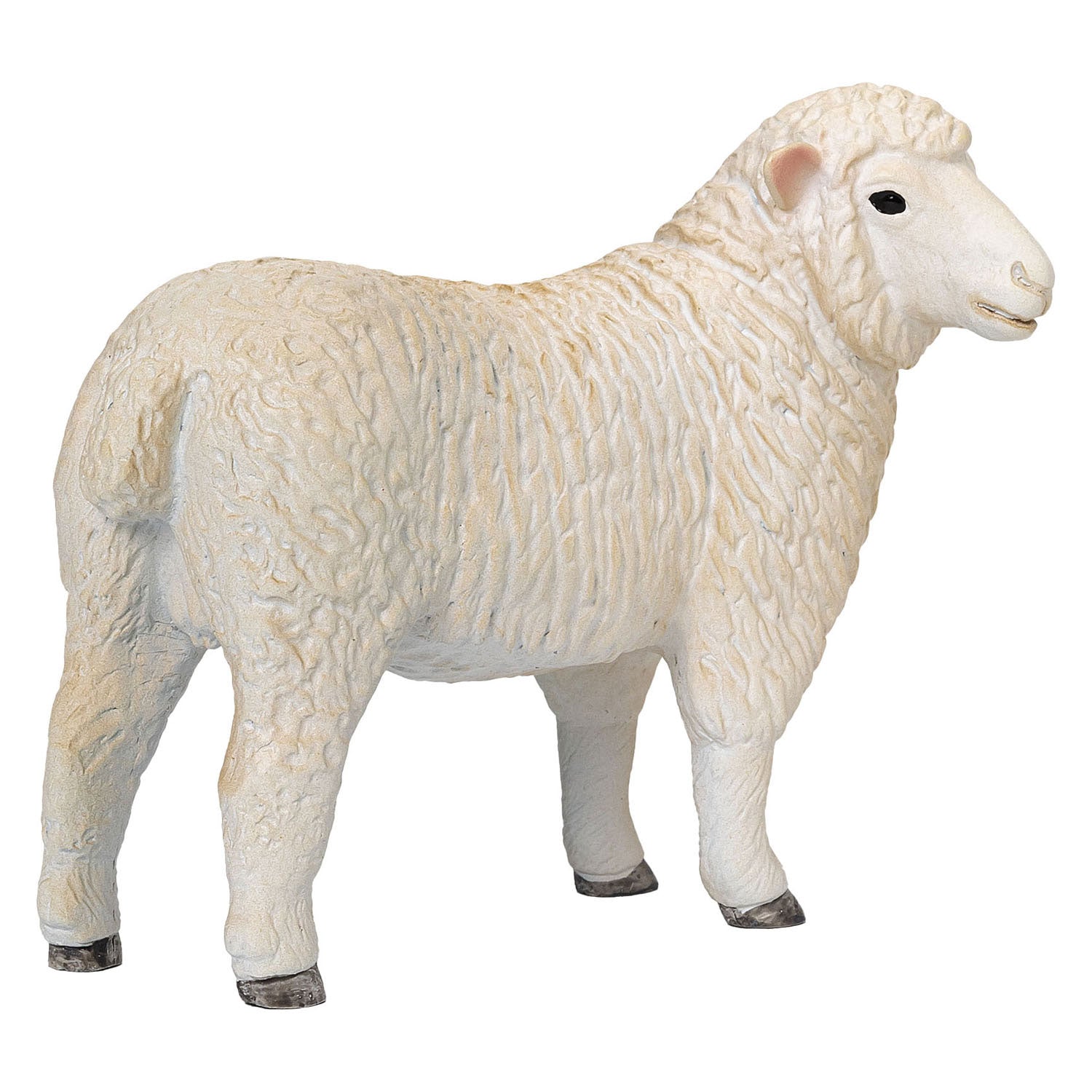 Mojo landbouwgrond romney schaap ooi - 381064