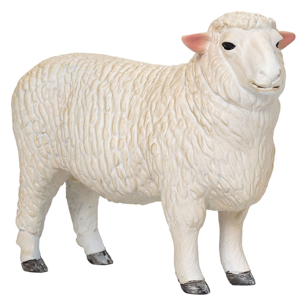 Mojo landbouwgrond romney schaap ram - 381063