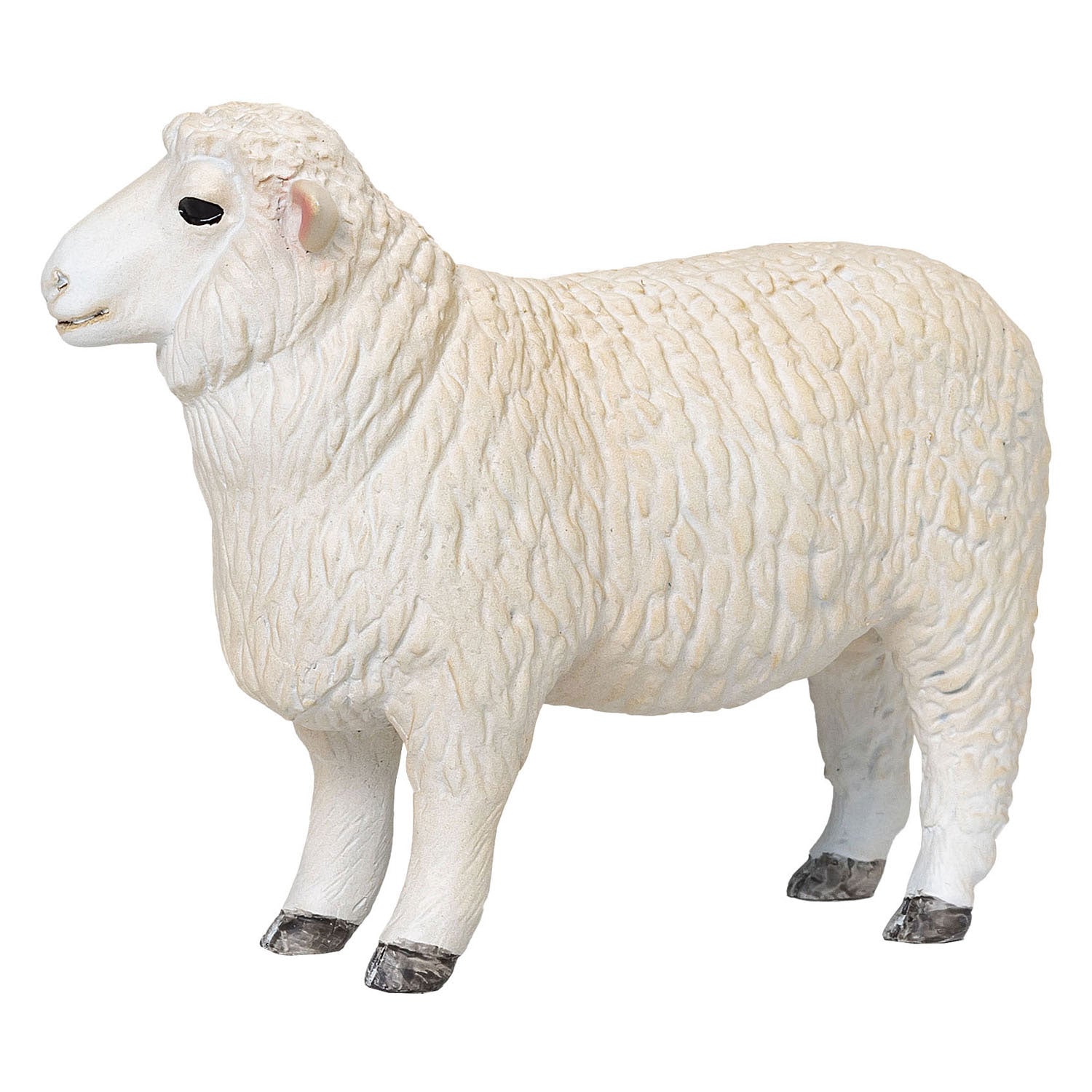 Mojo landbouwgrond romney schaap ram - 381063
