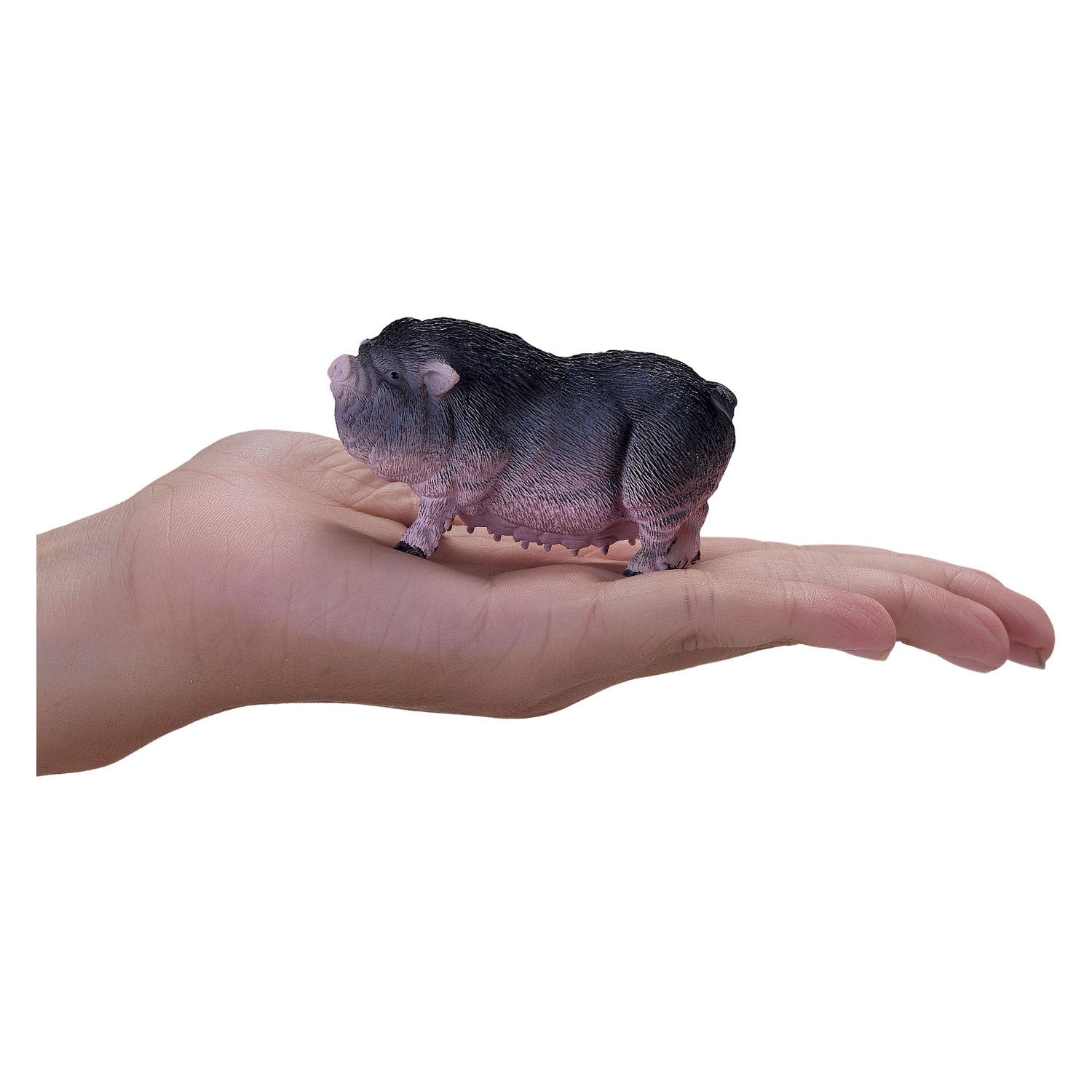 Mojo landbouwgrond buikzwijn - 381079