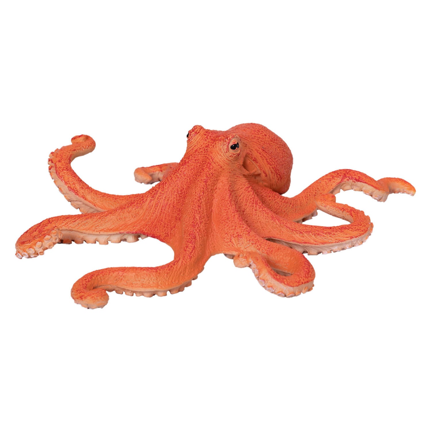 Mojo zee-octopus - 381036