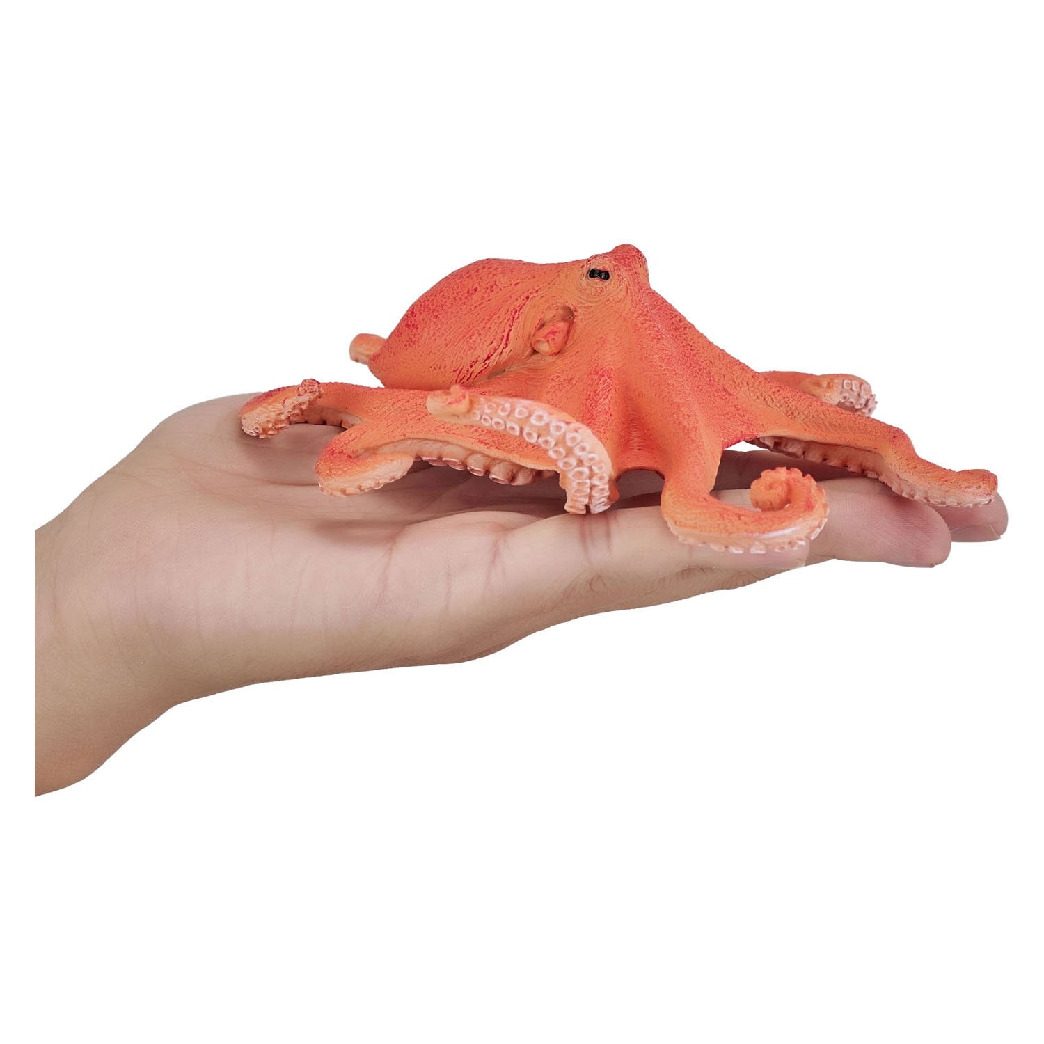 Mojo zee-octopus - 381036