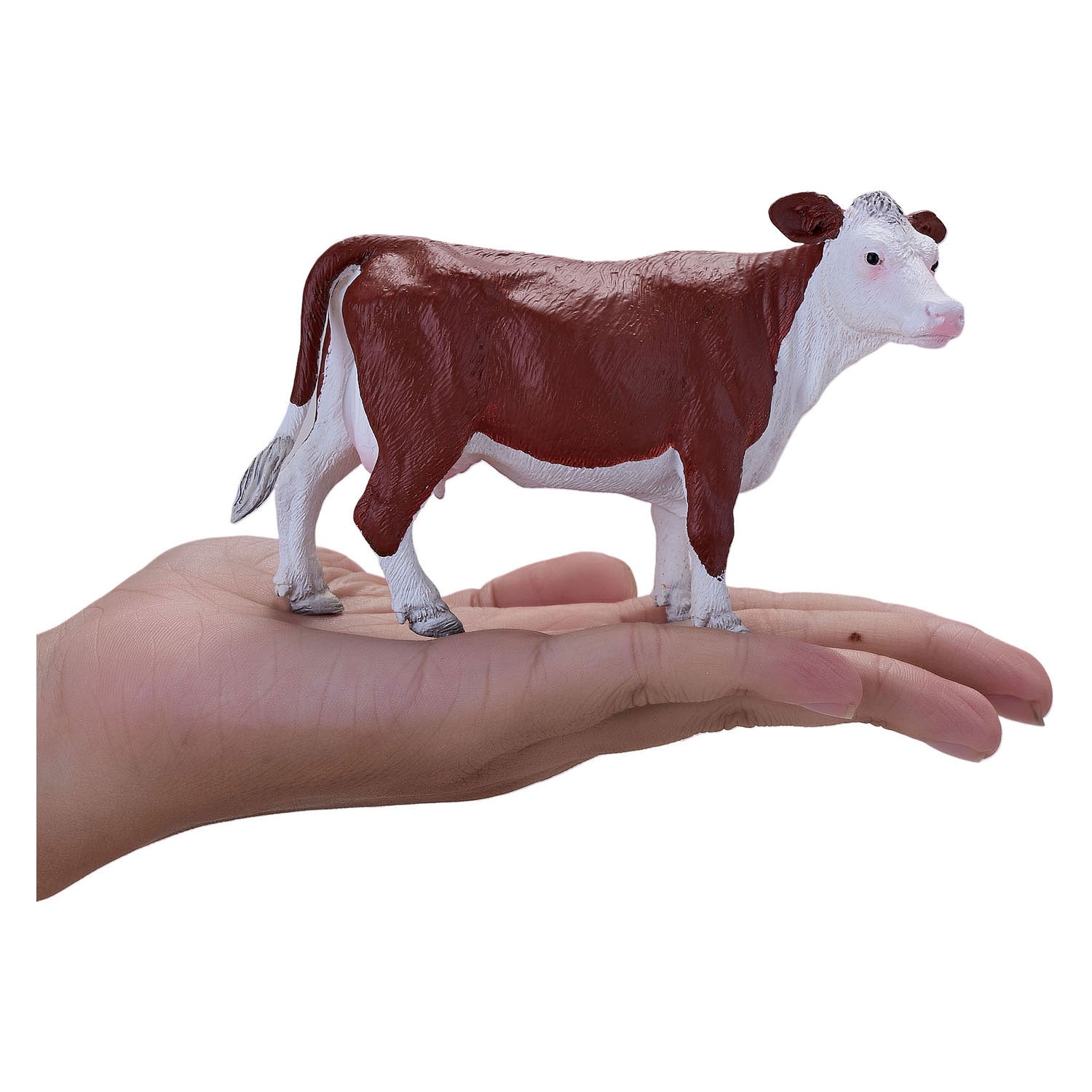 Mojo farmland hereford koe - 381074