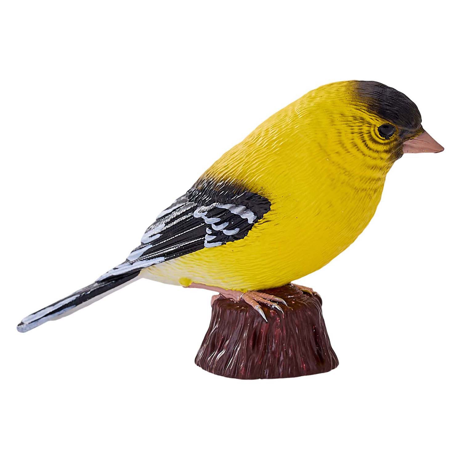 Mojo landbouwgrond amerikaanse goudvink - 381111