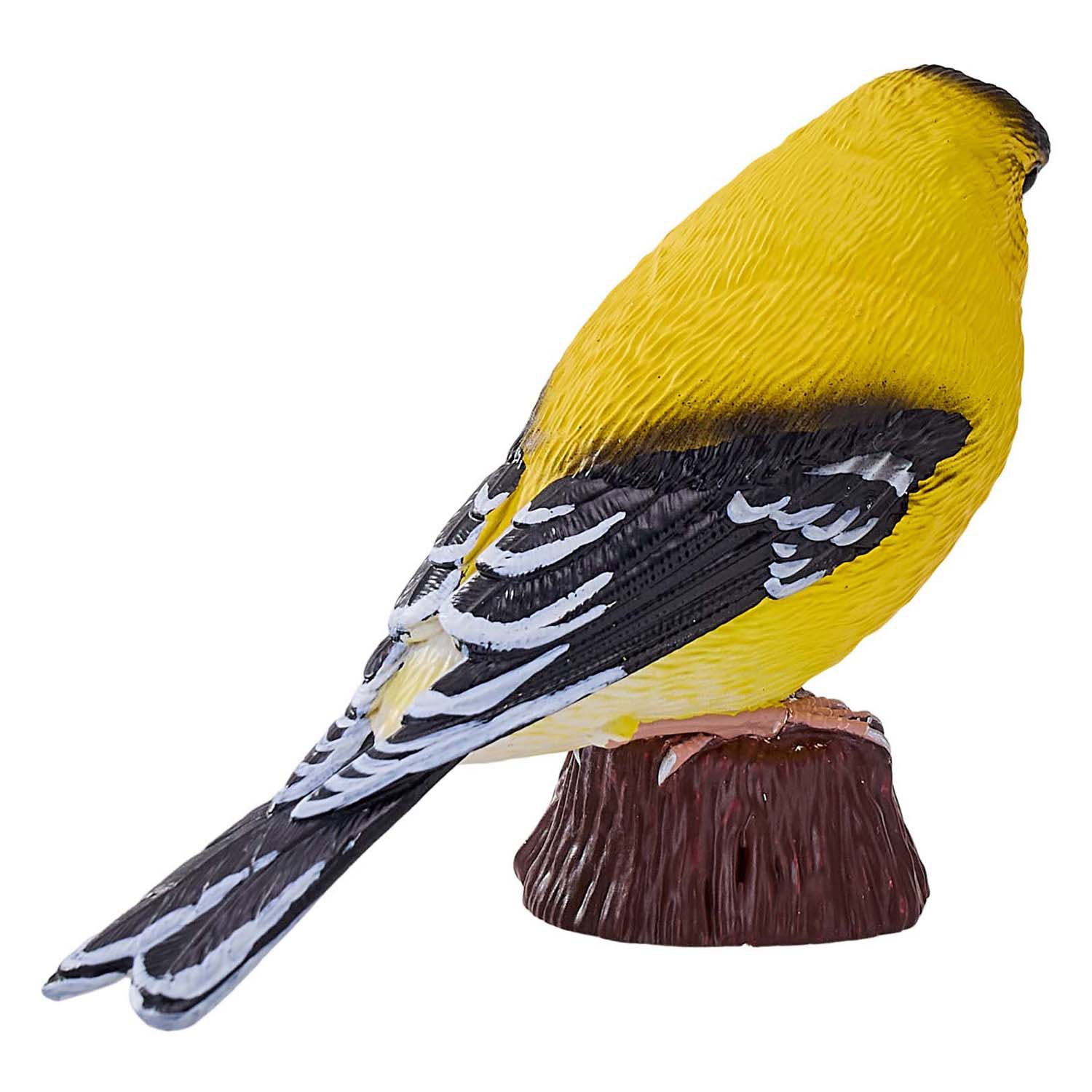 Mojo landbouwgrond amerikaanse goudvink - 381111