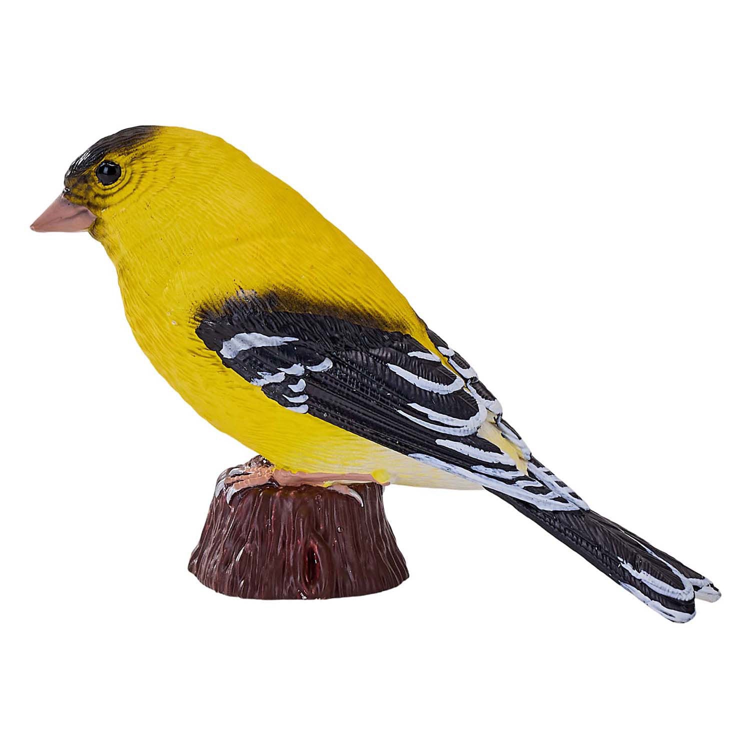 Mojo landbouwgrond amerikaanse goudvink - 381111