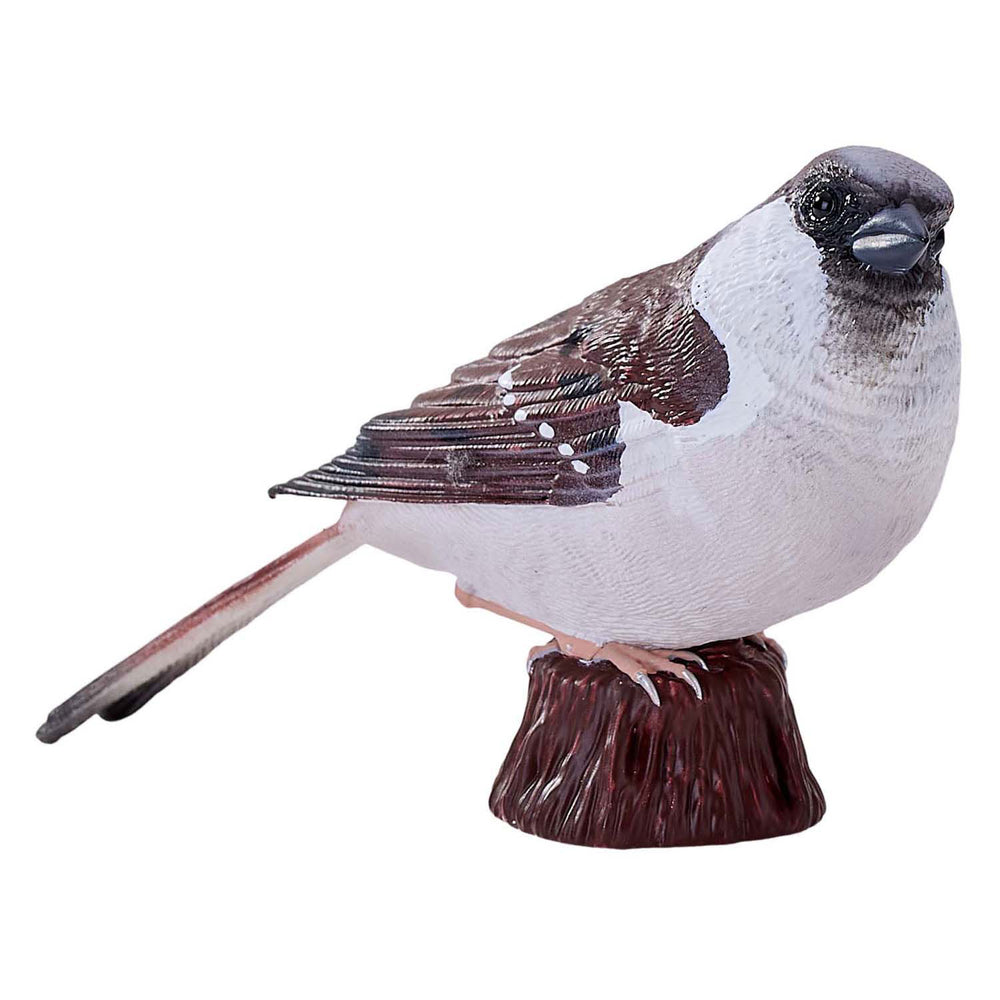 Mojo landbouwgrond huismus - 381114
