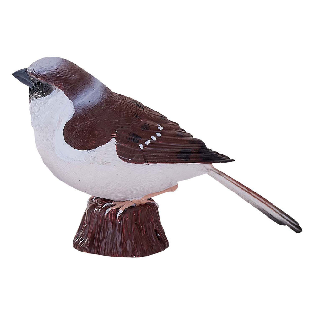 Mojo landbouwgrond huismus - 381114