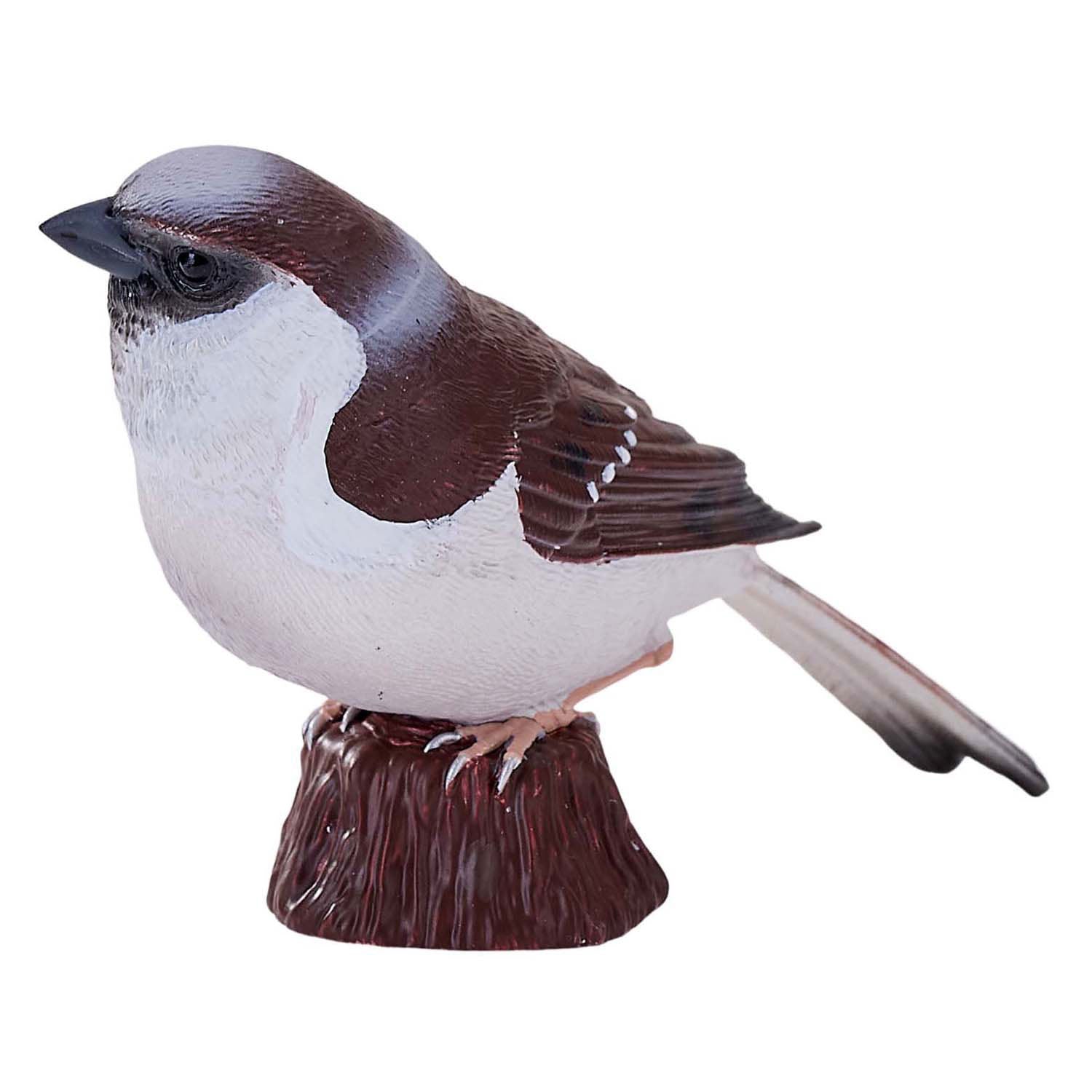Mojo landbouwgrond huismus - 381114