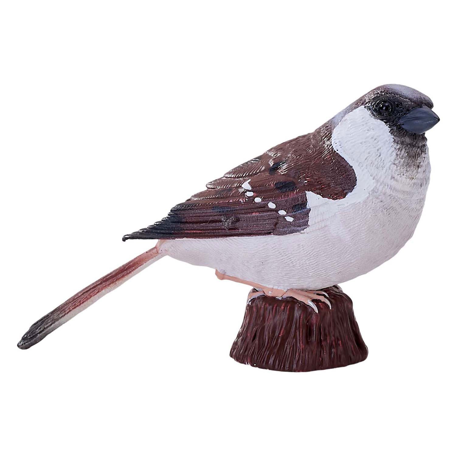 Mojo landbouwgrond huismus - 381114