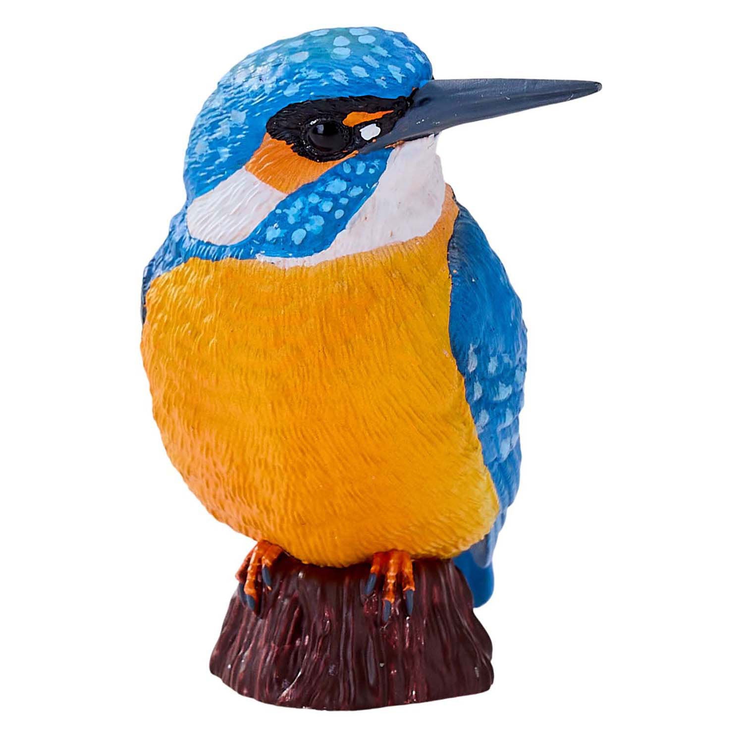 Mojo landbouwgrond ijsvogel - 381116