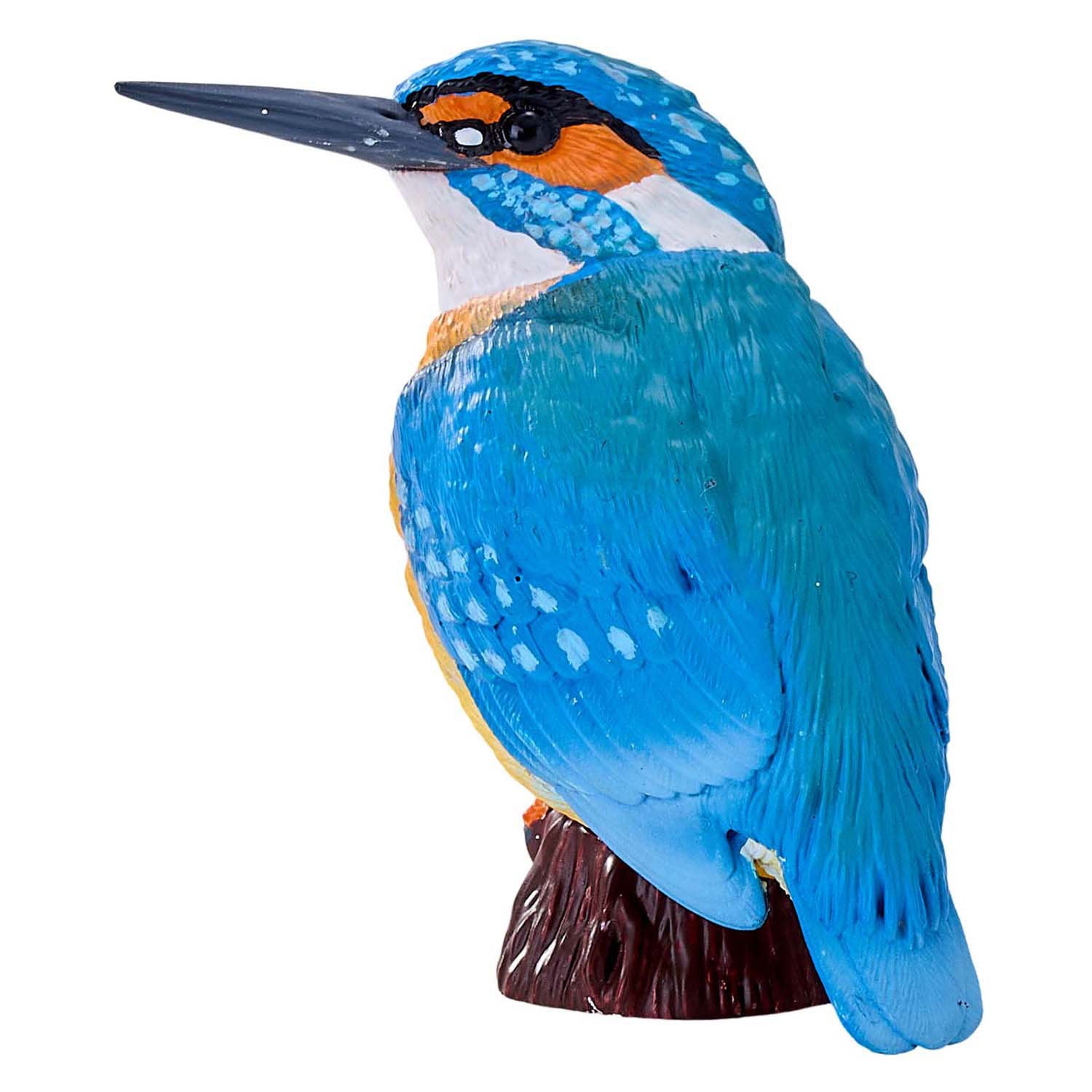 Mojo landbouwgrond ijsvogel - 381116