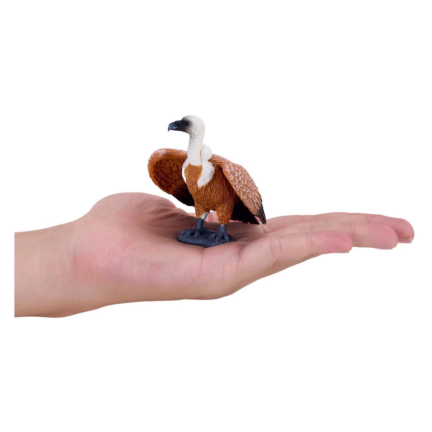 Mojo wildlife vale gier - 381099