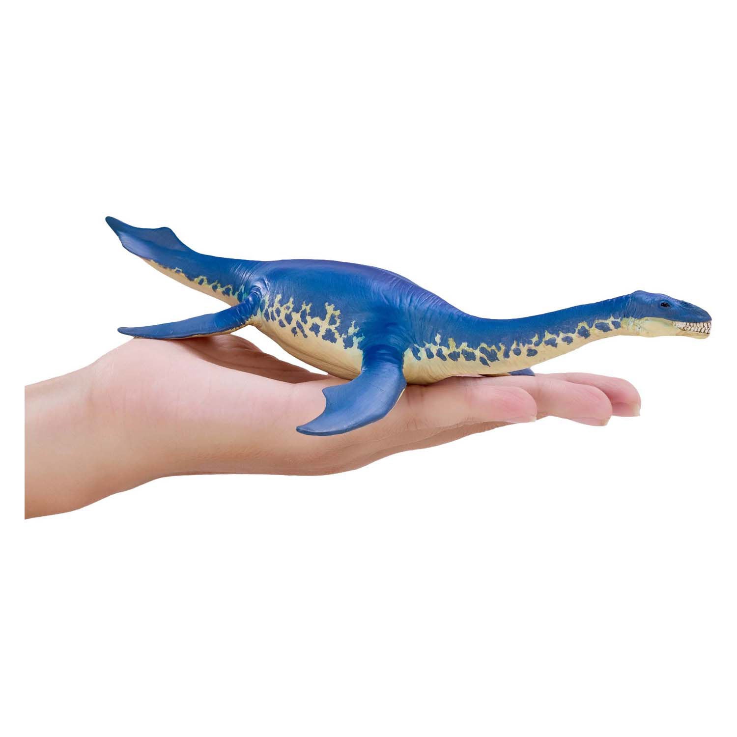 Mojo prehistorie cryptoclidus - 381107