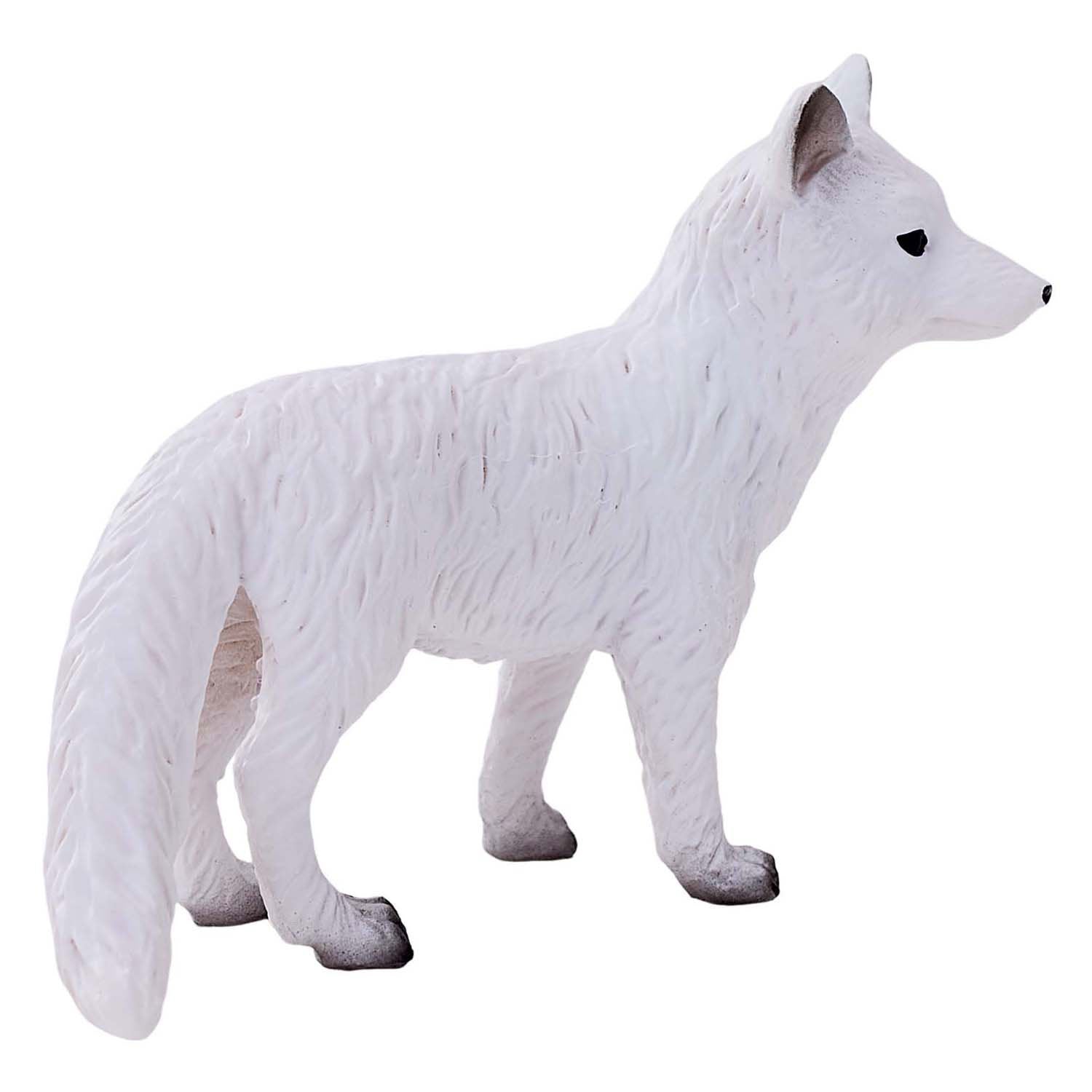 Mojo wildlife poolvos - 381090