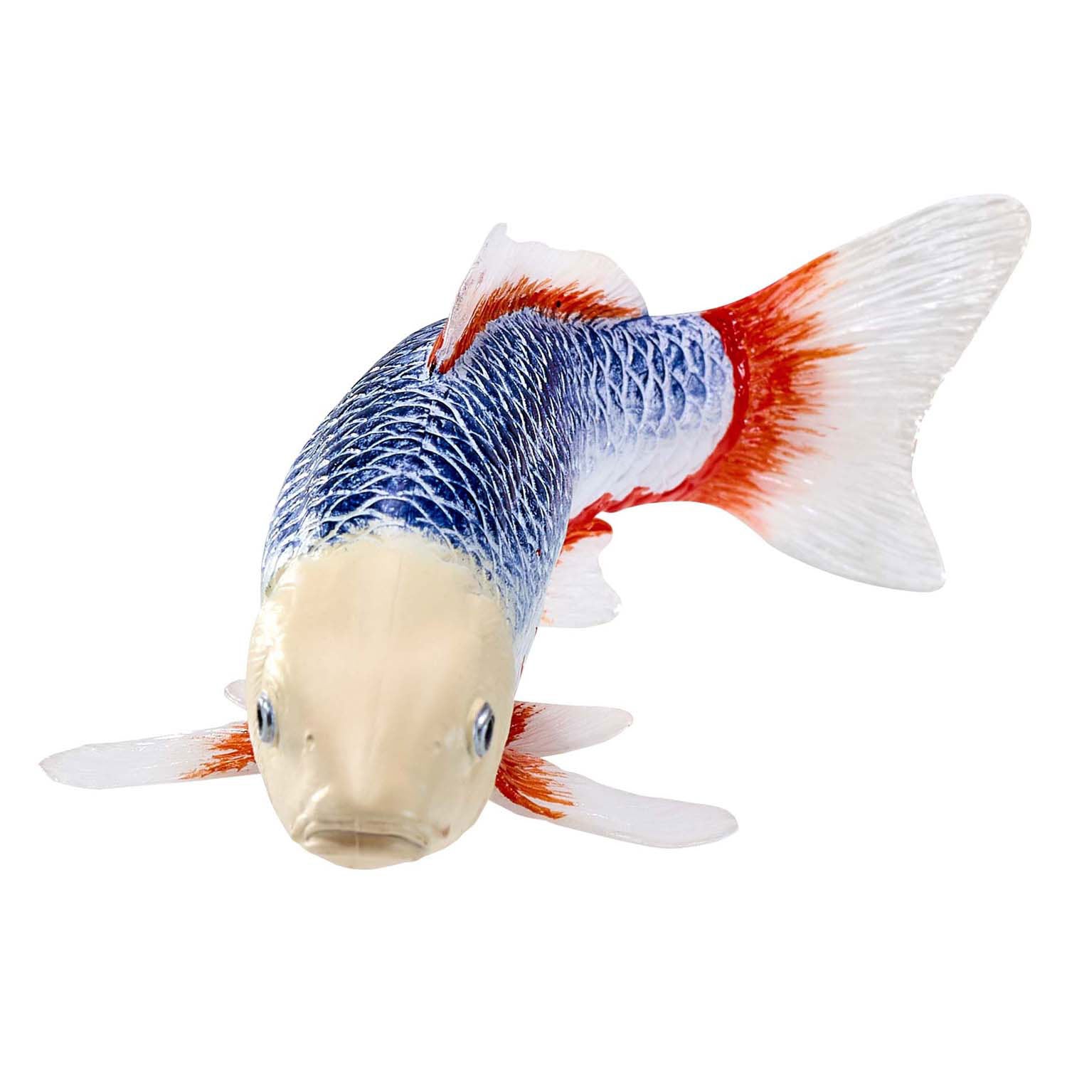 Mojo sealife koi karper - asagi koi - 381100