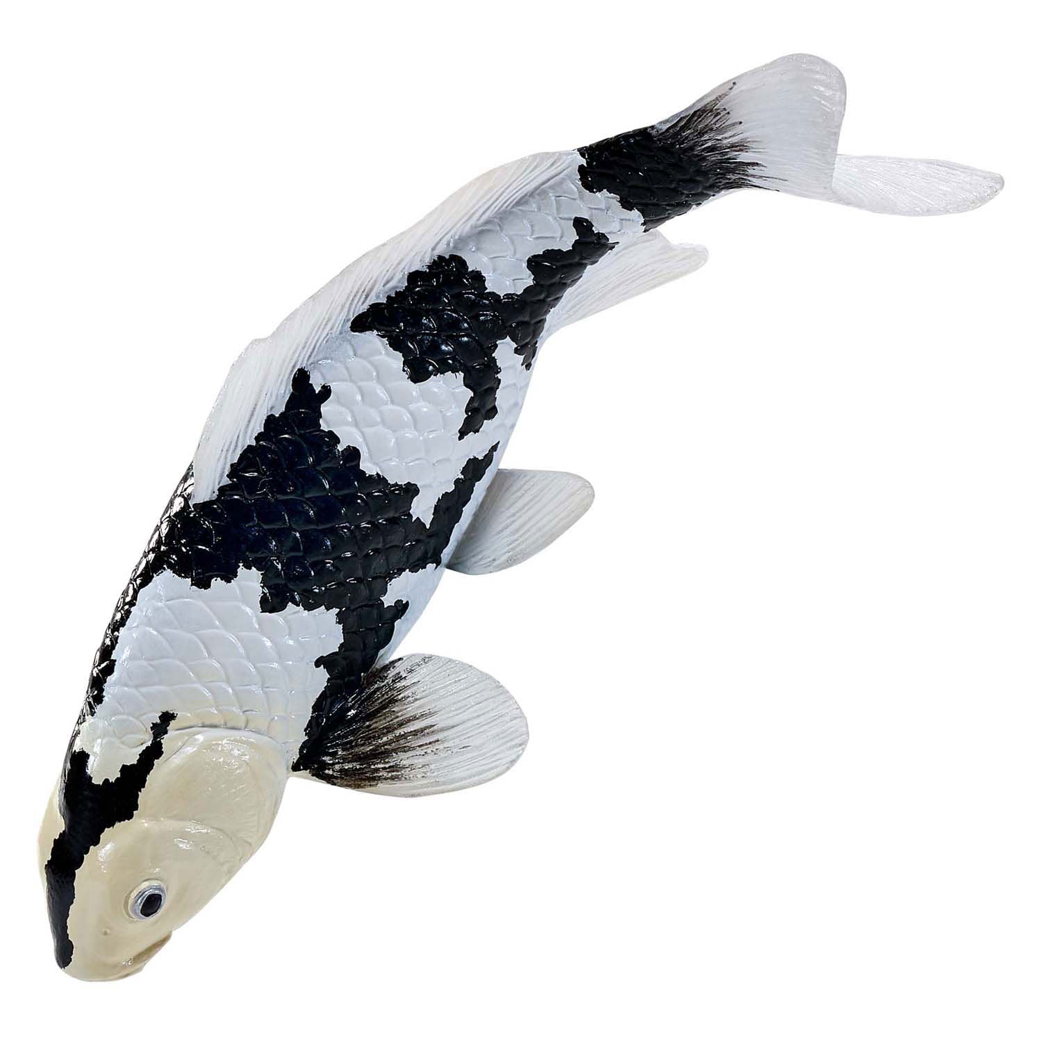 Mojo sealife koi karper - shiro utsuri koi - 381102