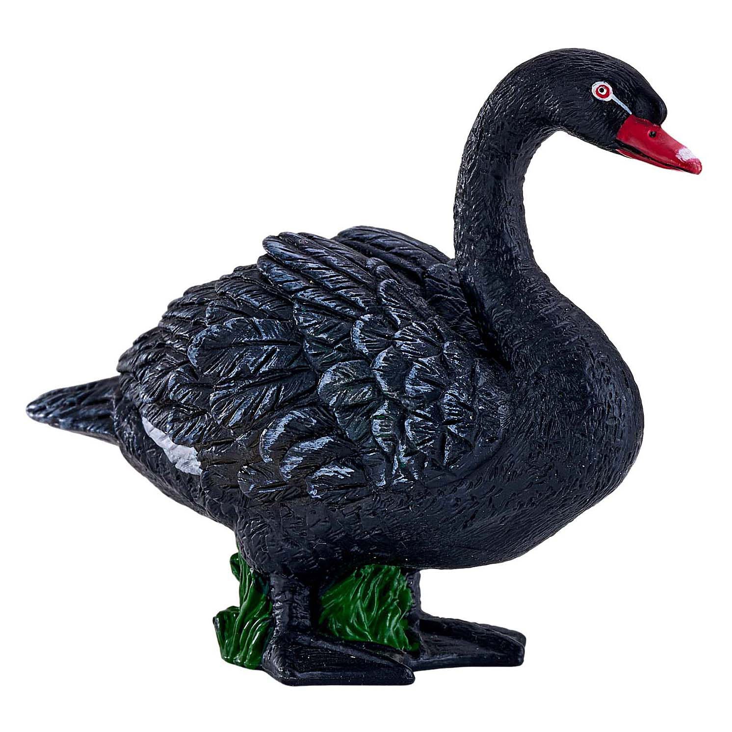 Mojo landbouwgrond zwarte zwaan - 381067