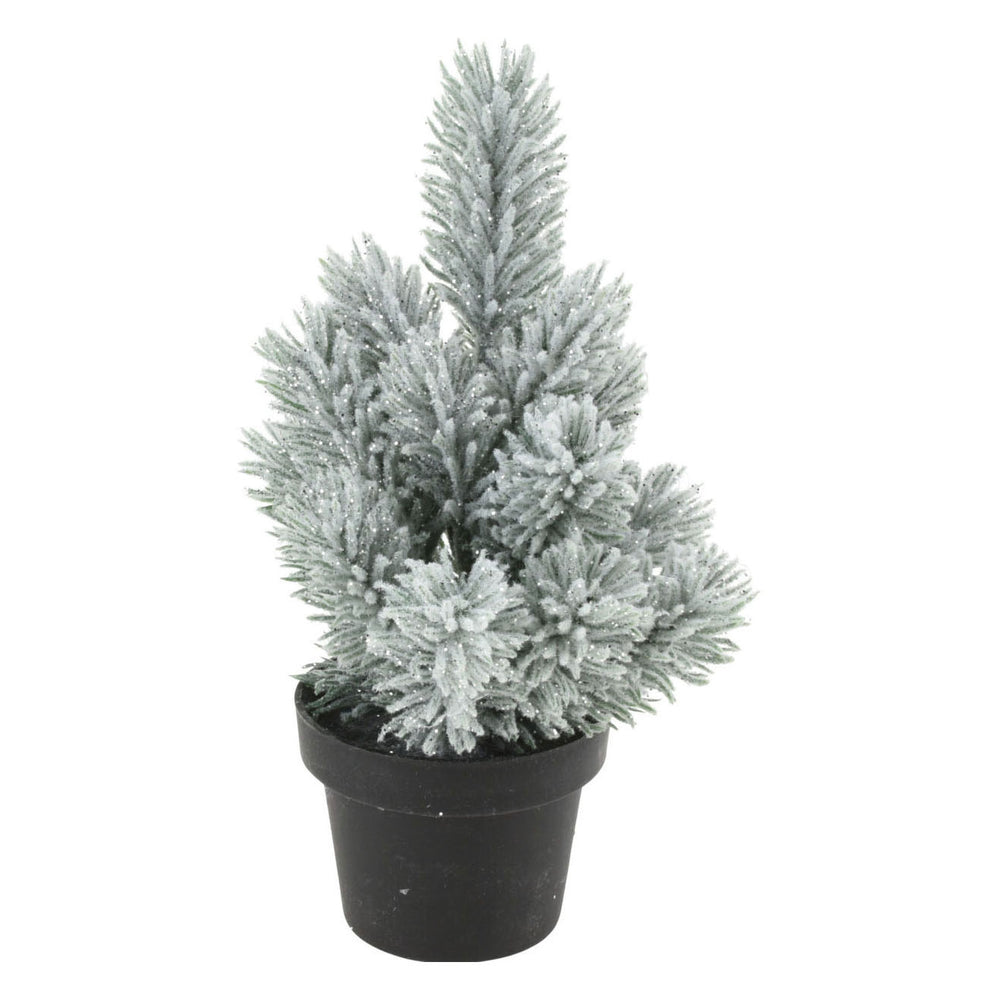 Denneboom in pot, 33cm