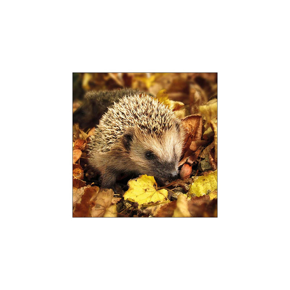 Ambiente servetten hedgehog in the wild 33cm