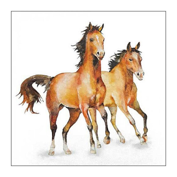 Ambiente servet 25 wild horses