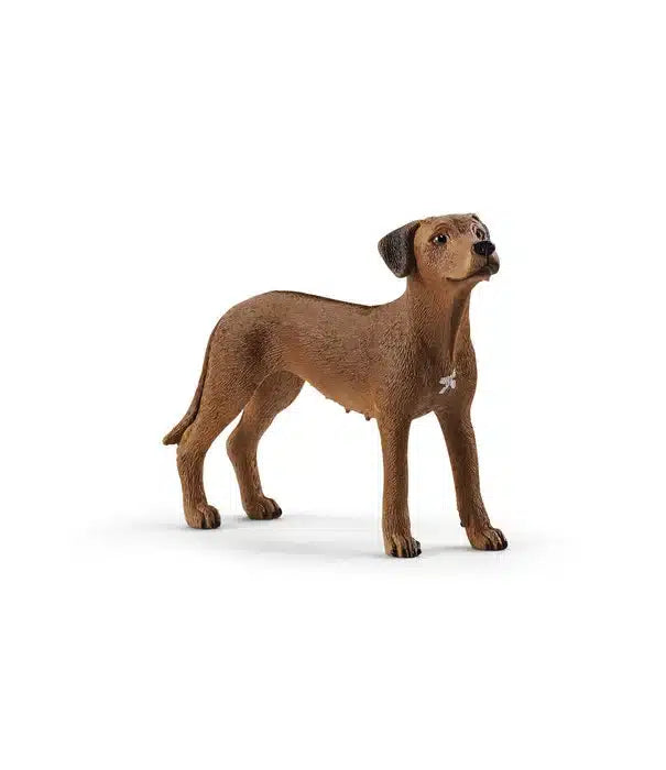 Schleichhond Rhodesian Ridgeback 13895