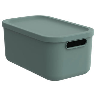 Rotho decoratie opbergbox albula light 12 l maretak groen